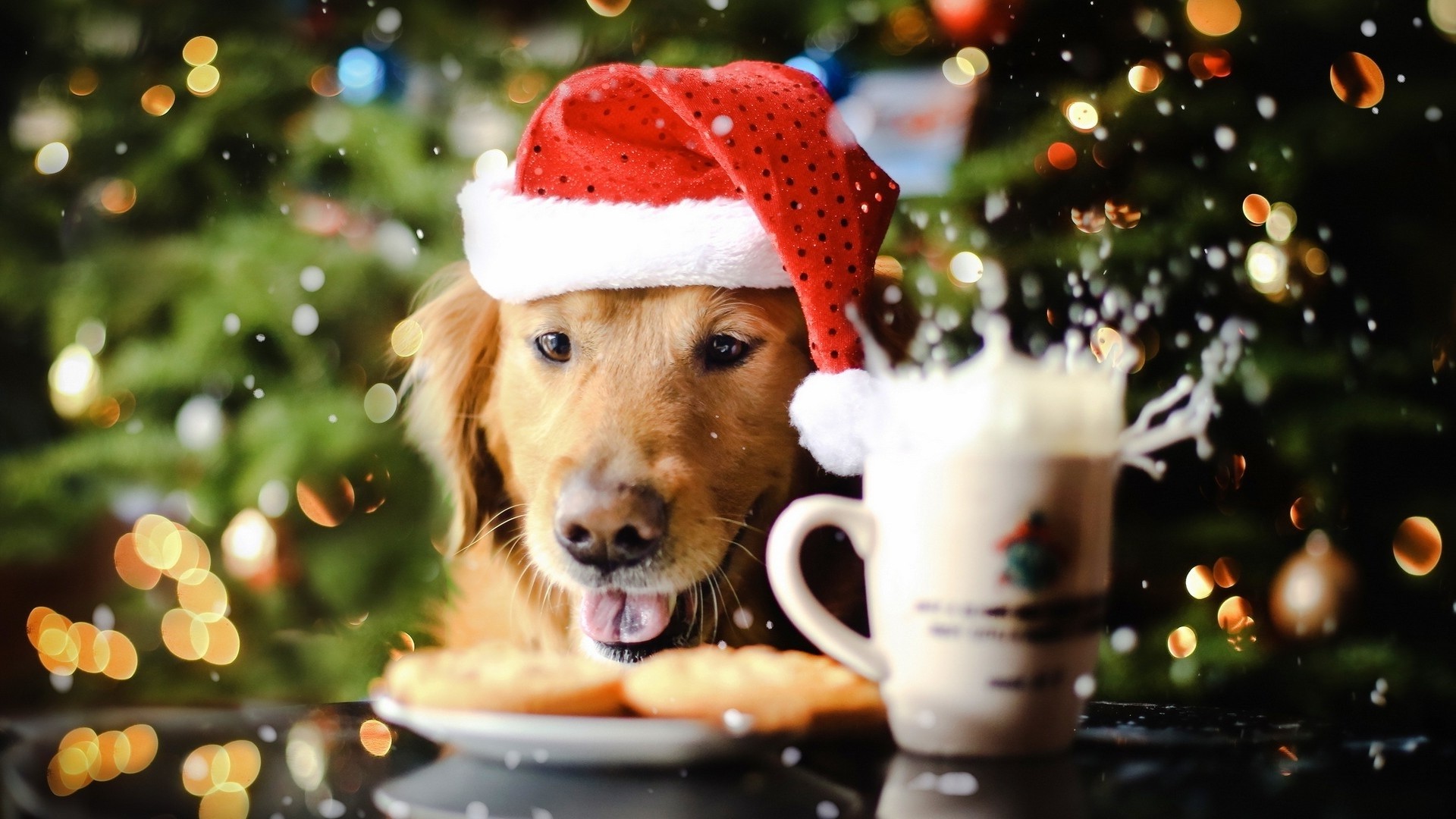 1920x1080 Download Cute puppy spreading the christmas spirit wallpaper
