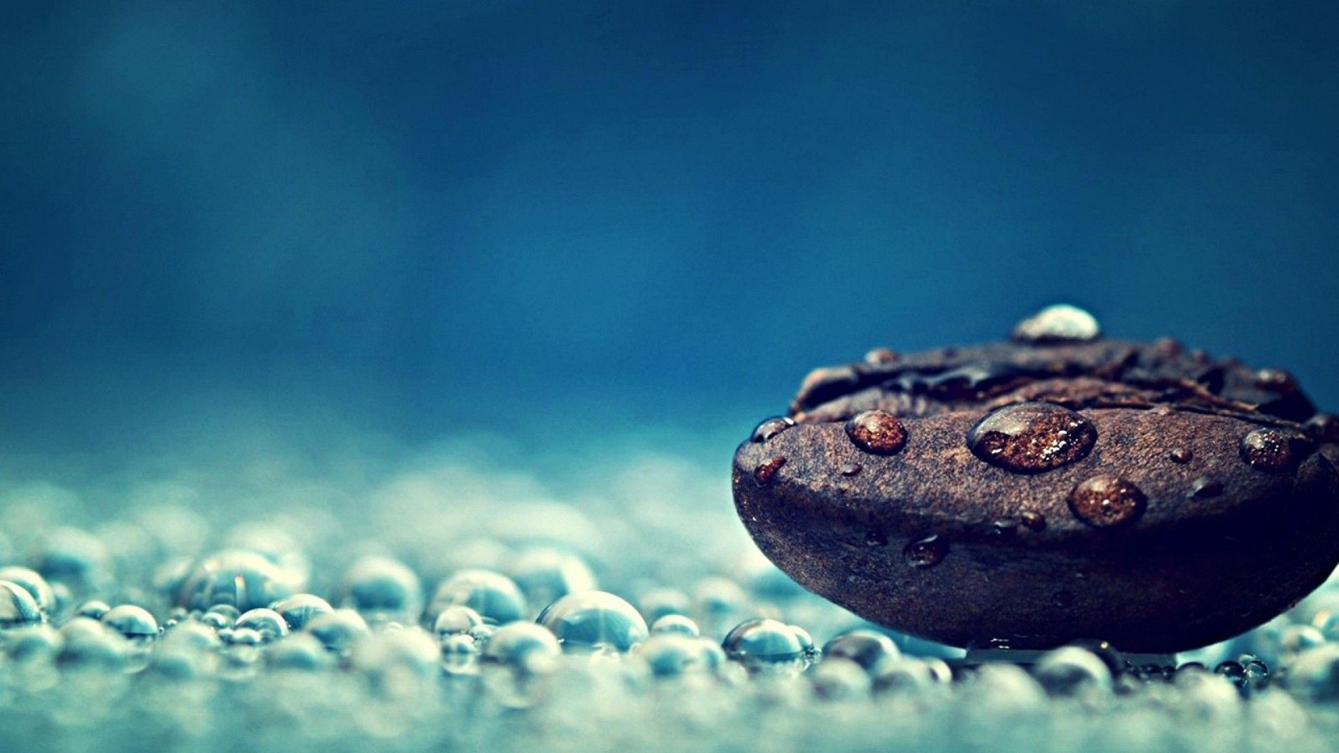 1920x1080 Water Droplets And Seed Macro Photography HD #521 Desktop Computer .
