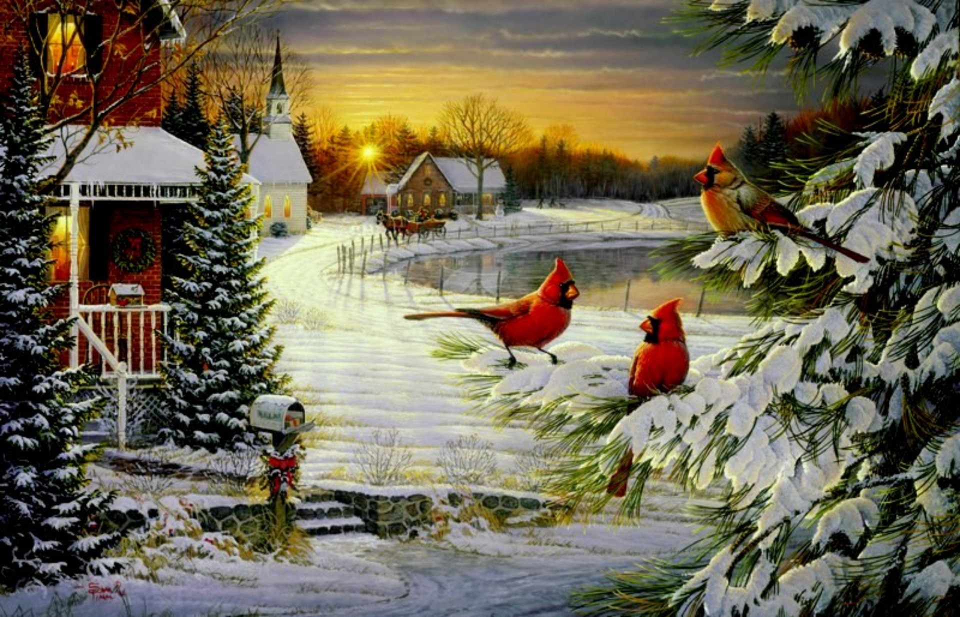 1920x1234 Cardinals birds Cardinals Christmas Wallpapers HD Wallpapers 