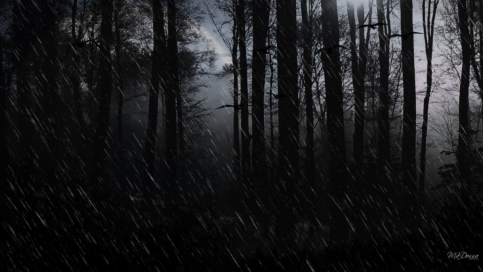 1920x1080 Wallpapers Dark Evil Rain Showers Forest Trees PX .
