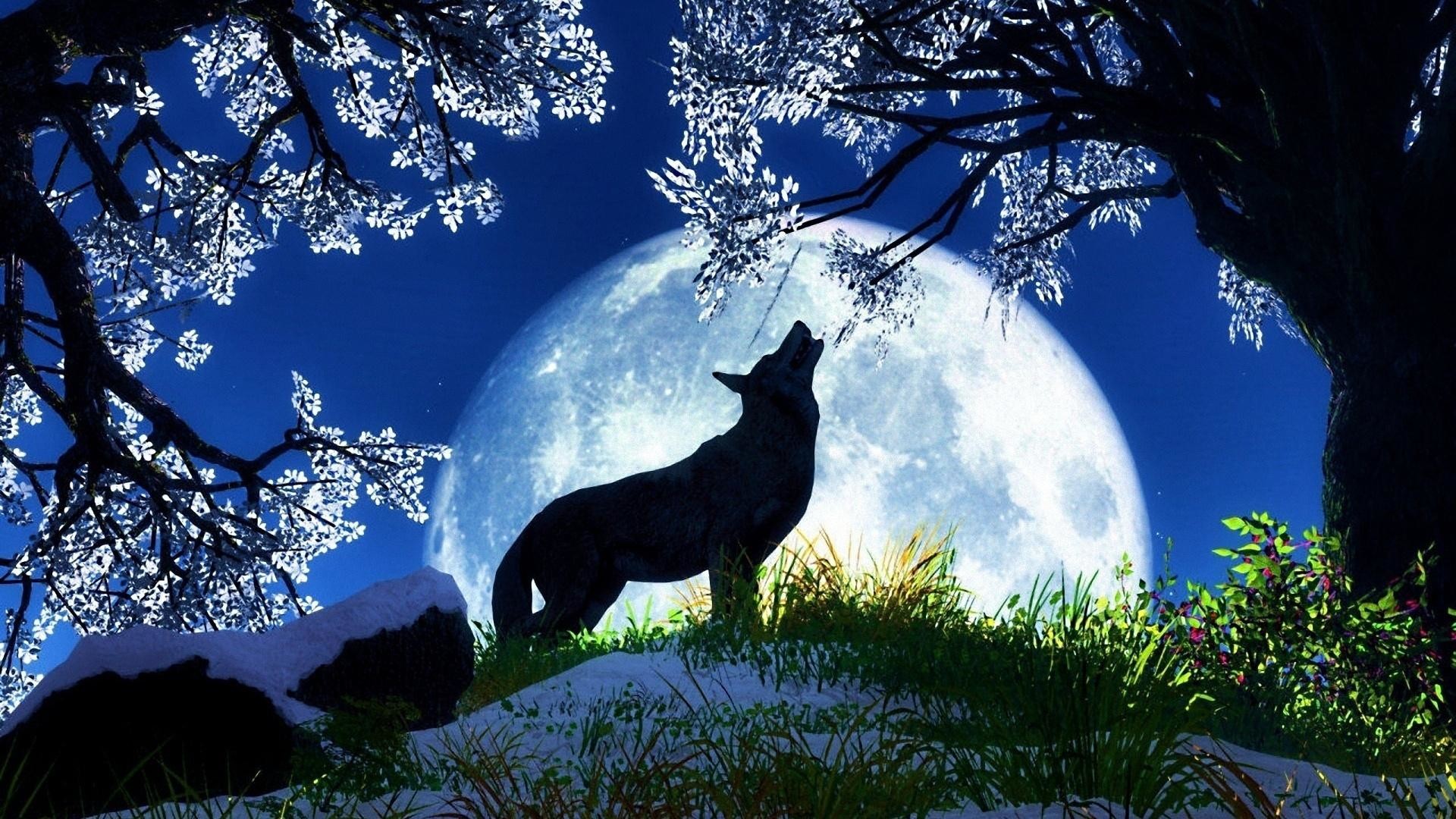 1920x1080 Moon Wolf Computer Wallpapers, Moon Wolf Backgrounds