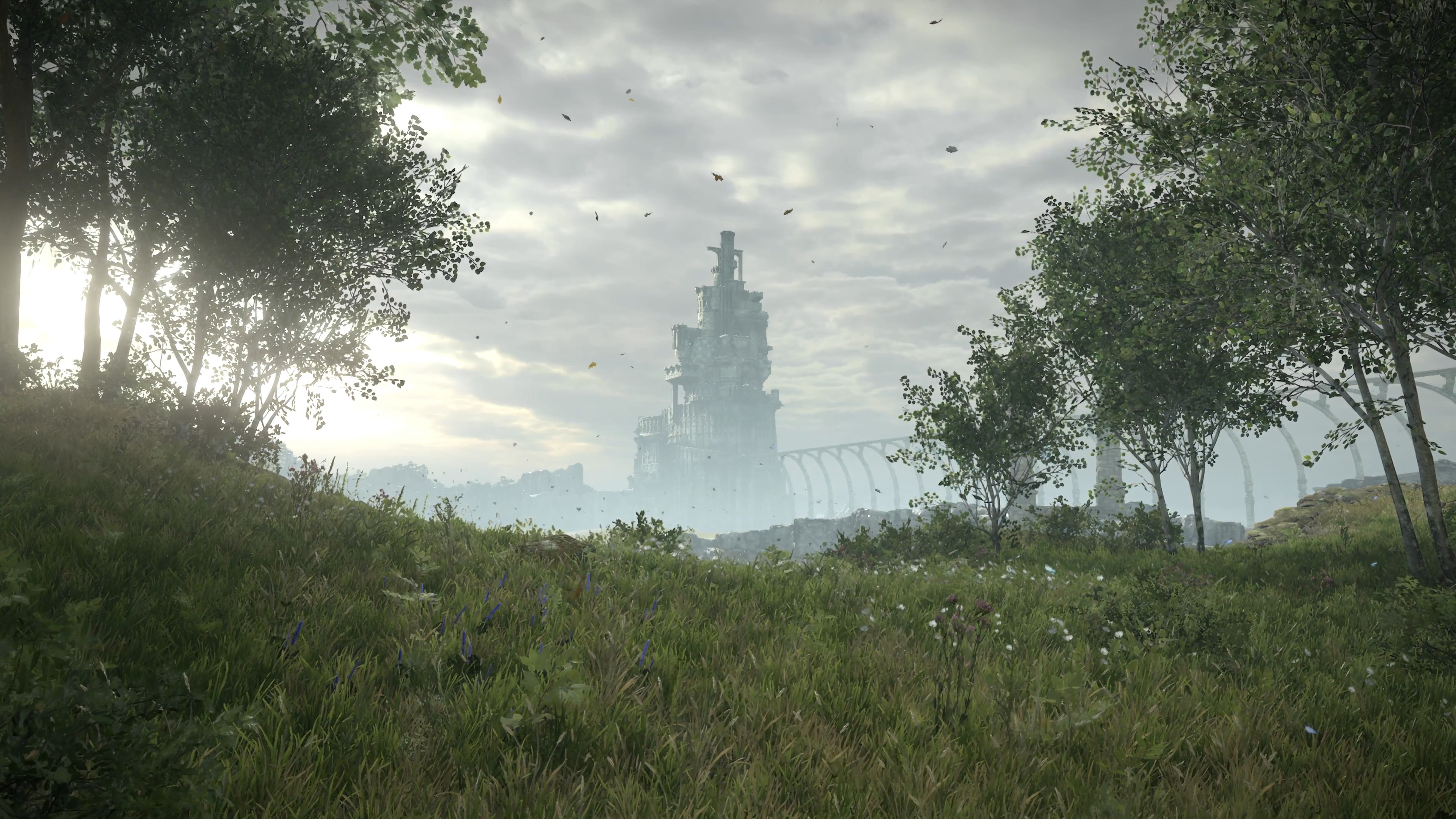 3840x2160 Shadow Of The Colossus 2018 Wallpapers (Trailer)