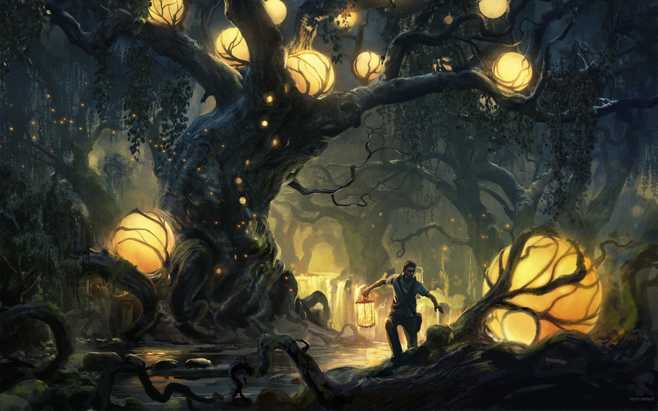2560x1600 fantasy Art, Forest Wallpaper HD