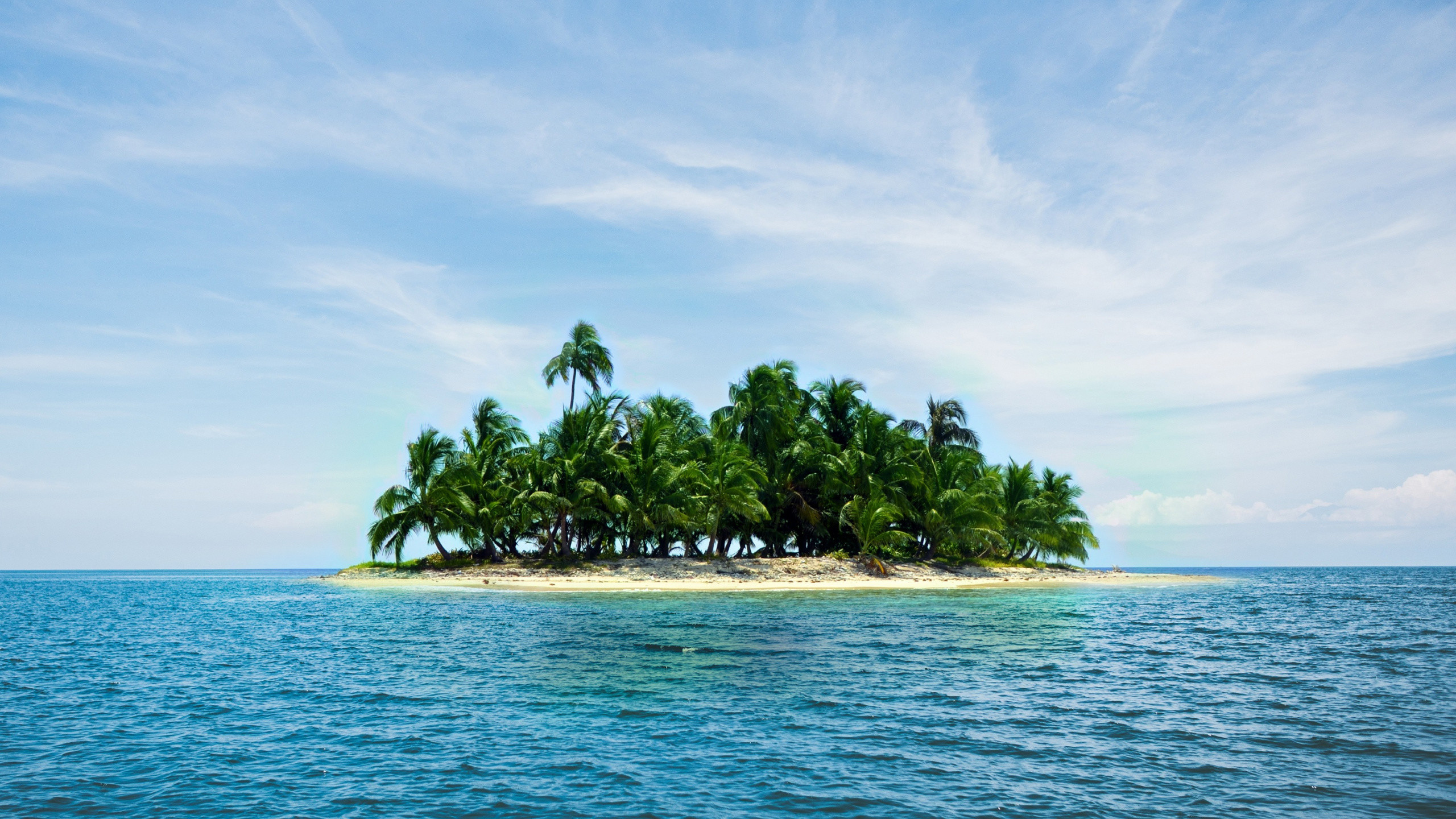 2560x1440  wallpaper Caribbean island, holiday, summer, sea, palm tree