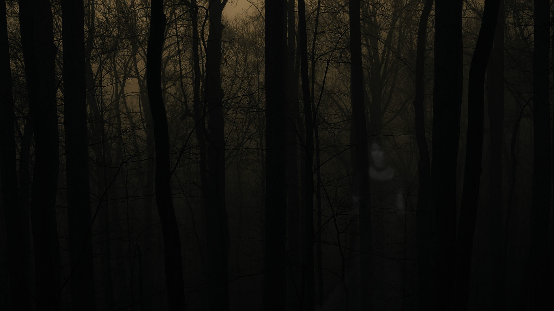1920x1080 Spooky Forest Backgrounds – Festival Collections