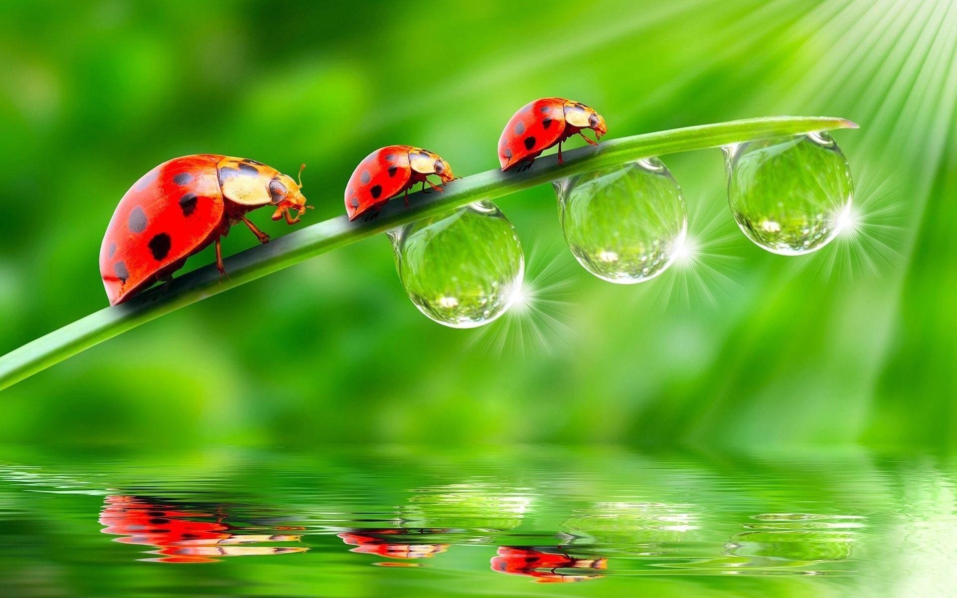 1920x1200 Water Drops HD Wallpaper | Water Drops Images and Pictures | Cool .