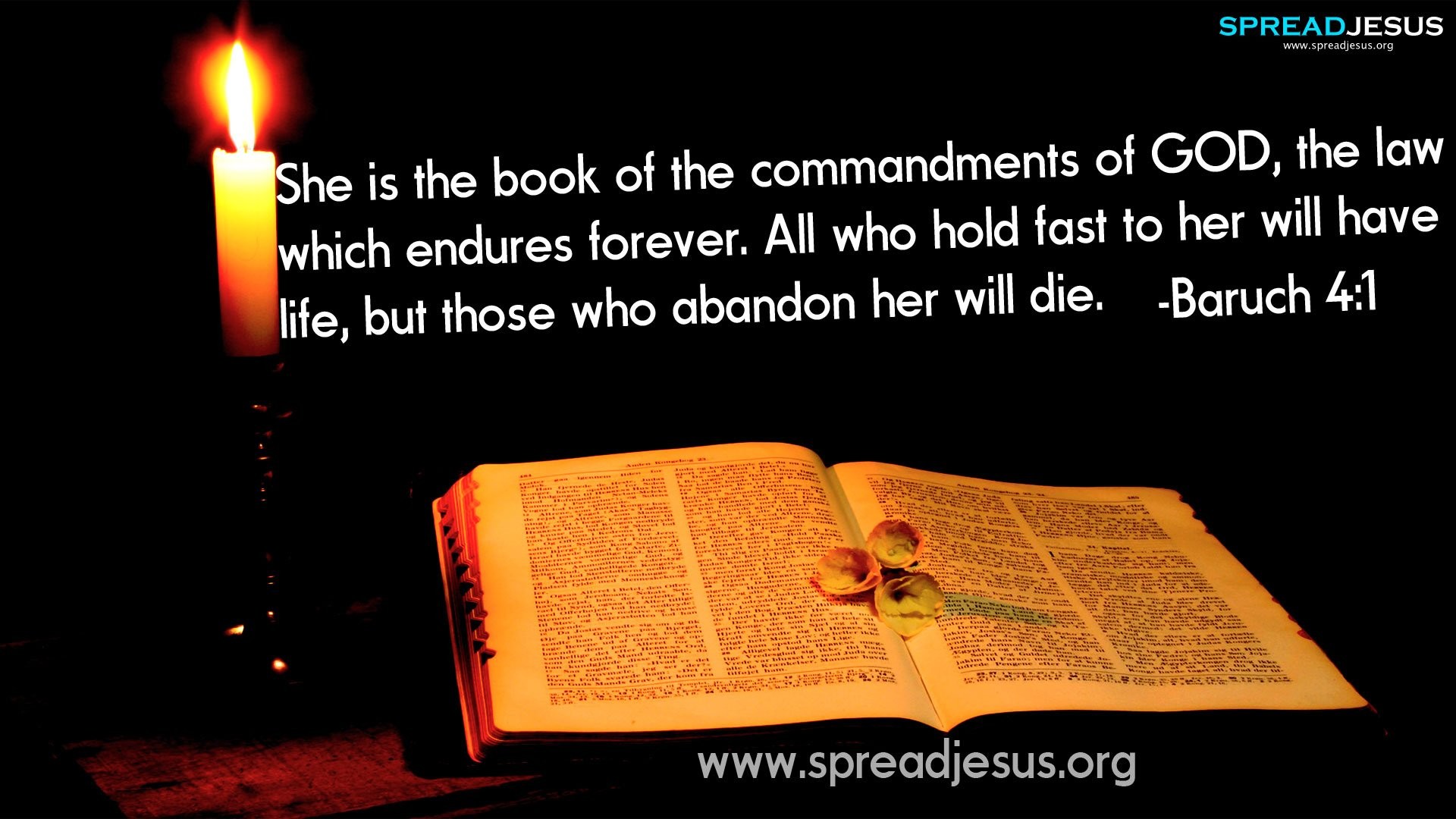 1920x1080 Holy Bible Quotes ...