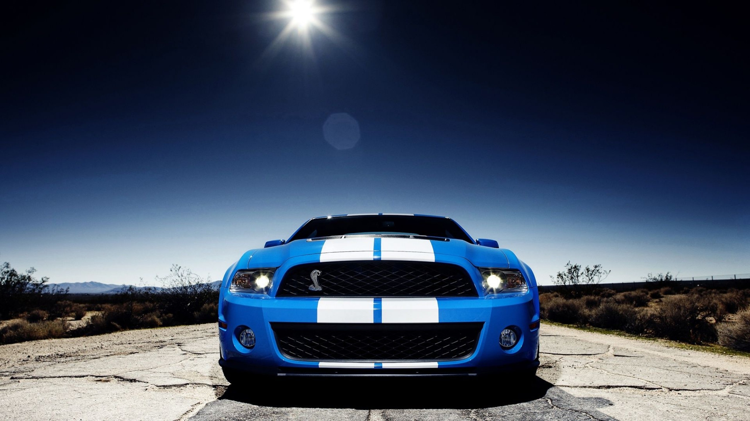 2560x1440 Ford Mustang Shelby GT500 Front View HD Wallpaper #4927 Wallpaper