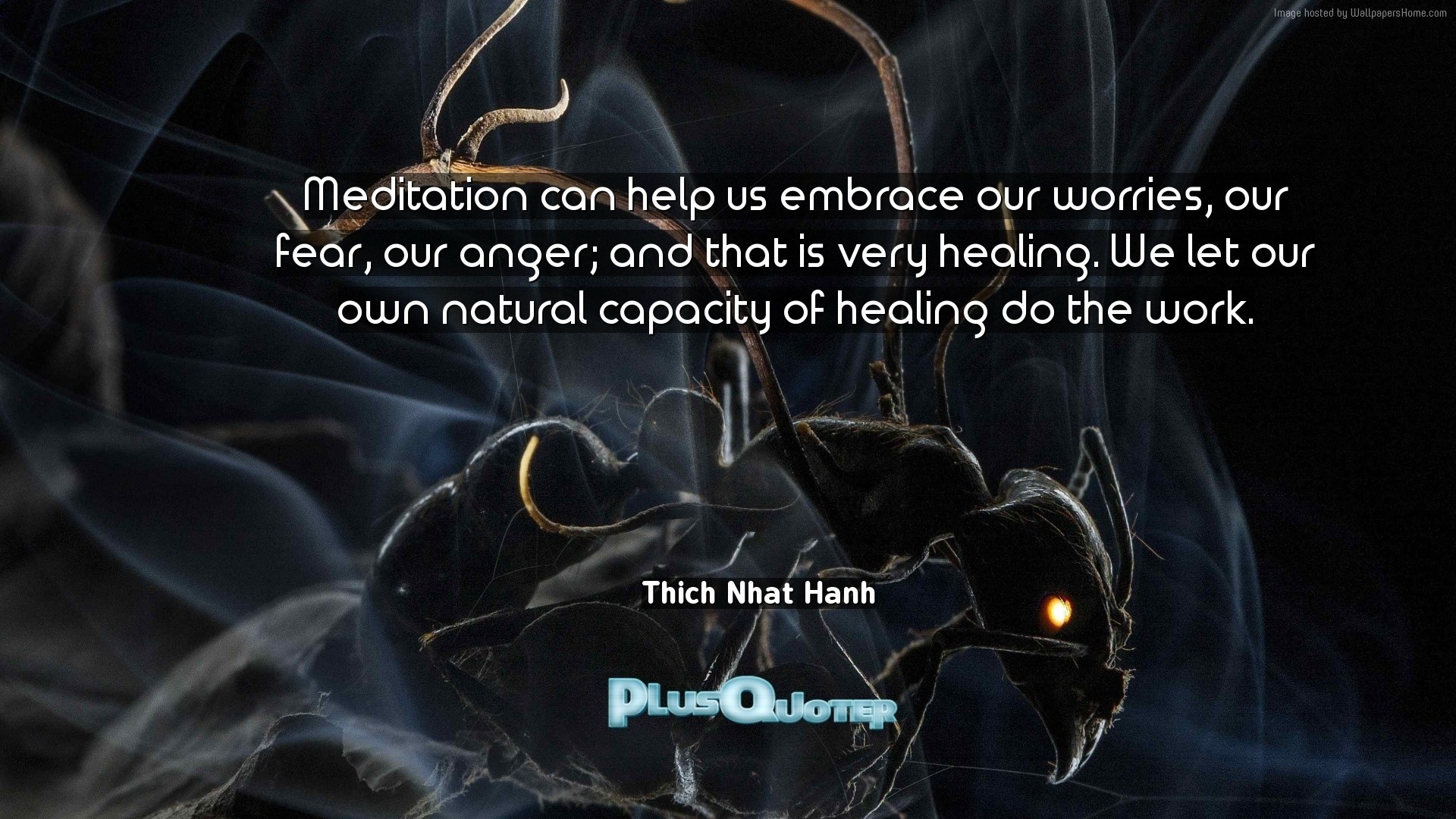 1920x1080 Download Wallpaper with inspirational Quotes- "Meditation can help us  embrace our worries, our. “