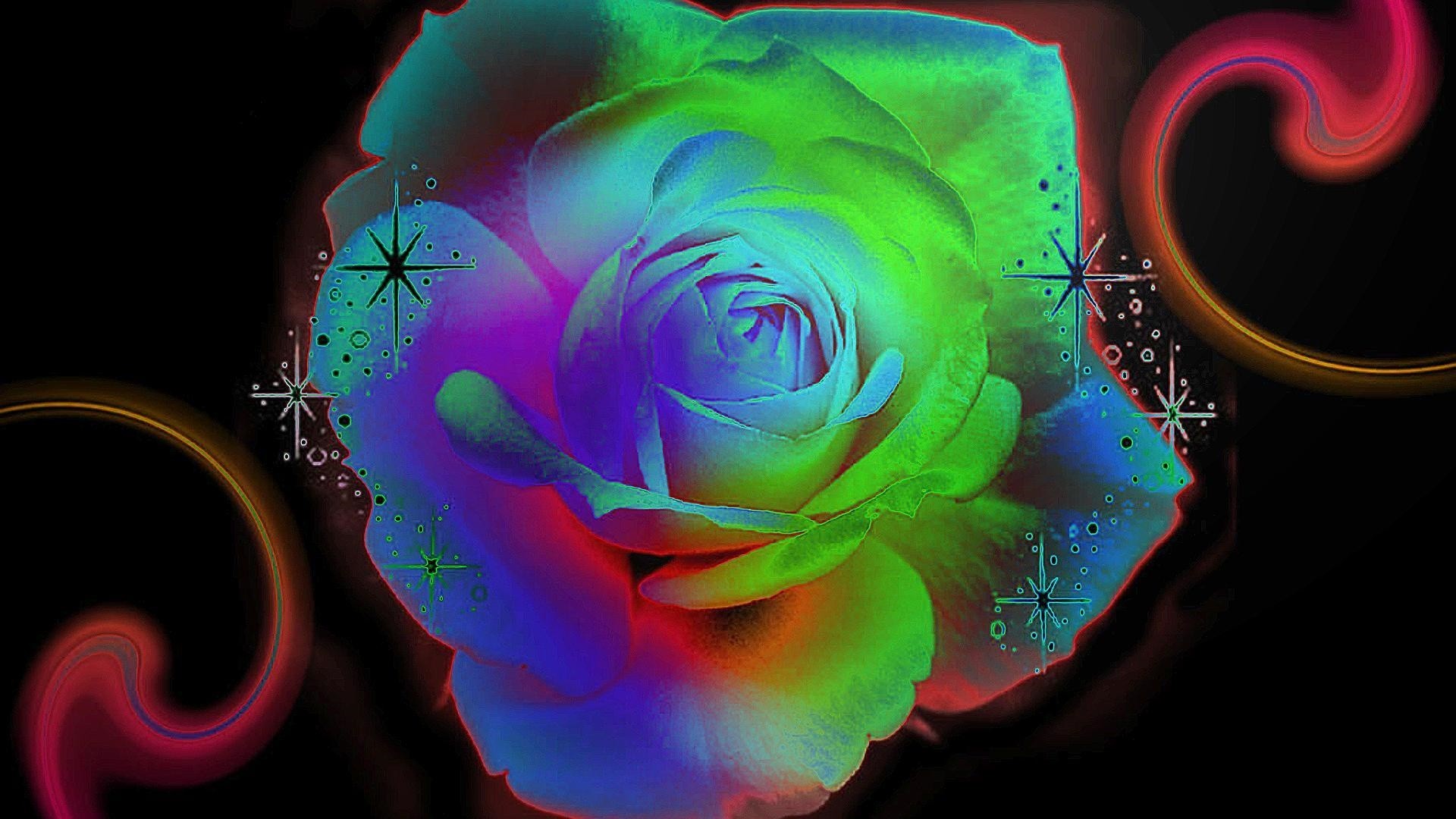 1920x1080 Bright roses roses) via www.