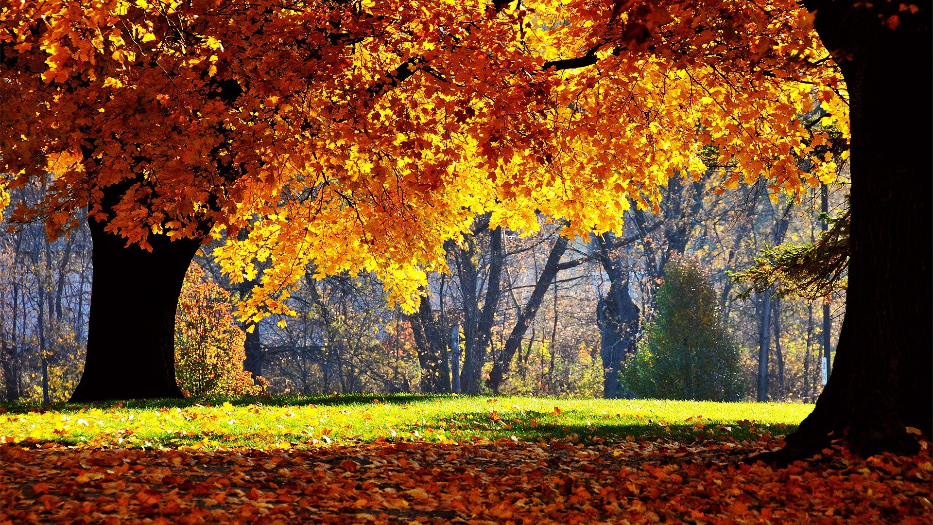 1920x1080 Autumn Wallpapers ...