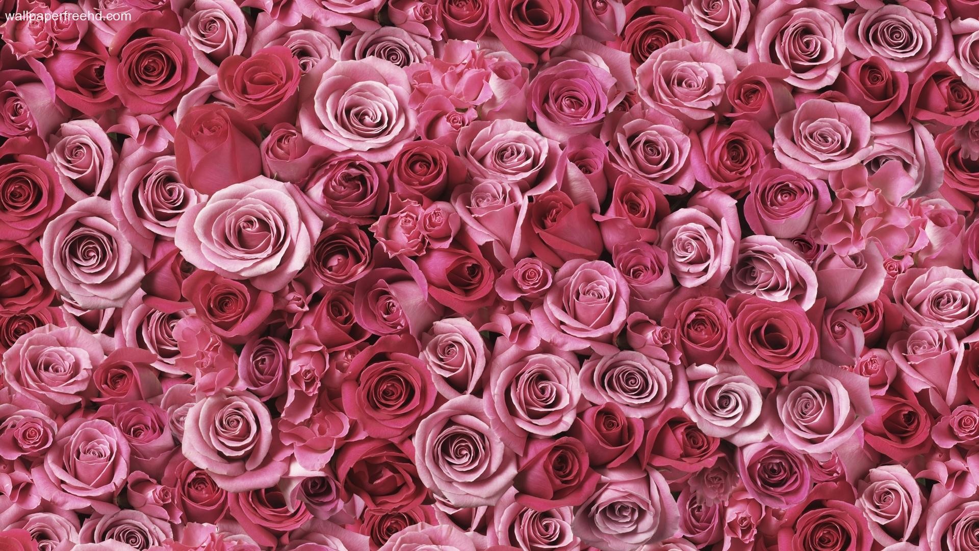 Pink Girly Desktop Wallpaper 56 Images 