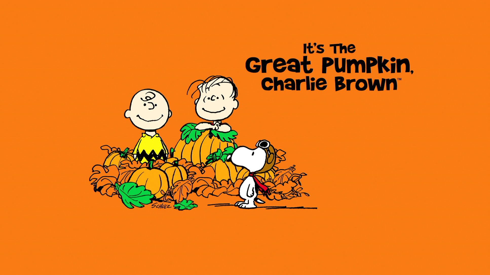 1934x1088 Great Pumpkin Charlie Brown Background HD.