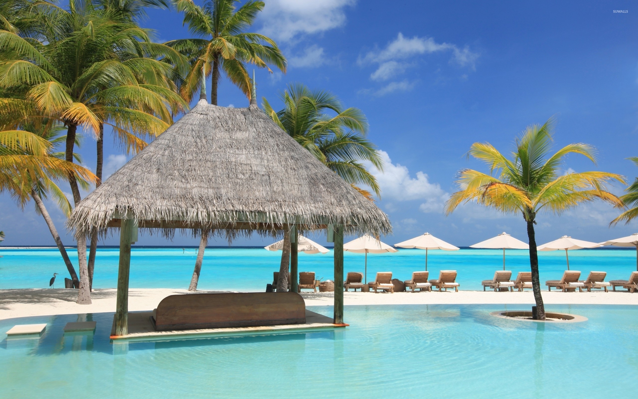2560x1600 Beautiful resort in Maldives wallpaper