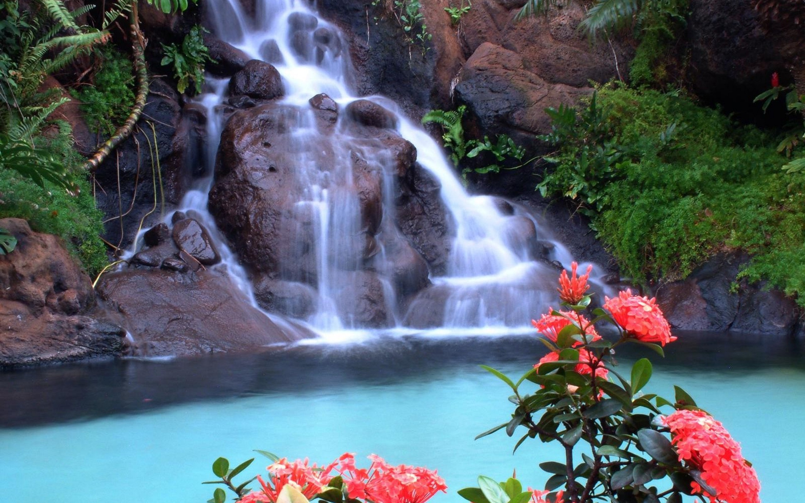 2560x1600 waterfall-1154 Waterfall-And-Flowers-High-Resolution-HD-Wallpaper-Desktop-  ...