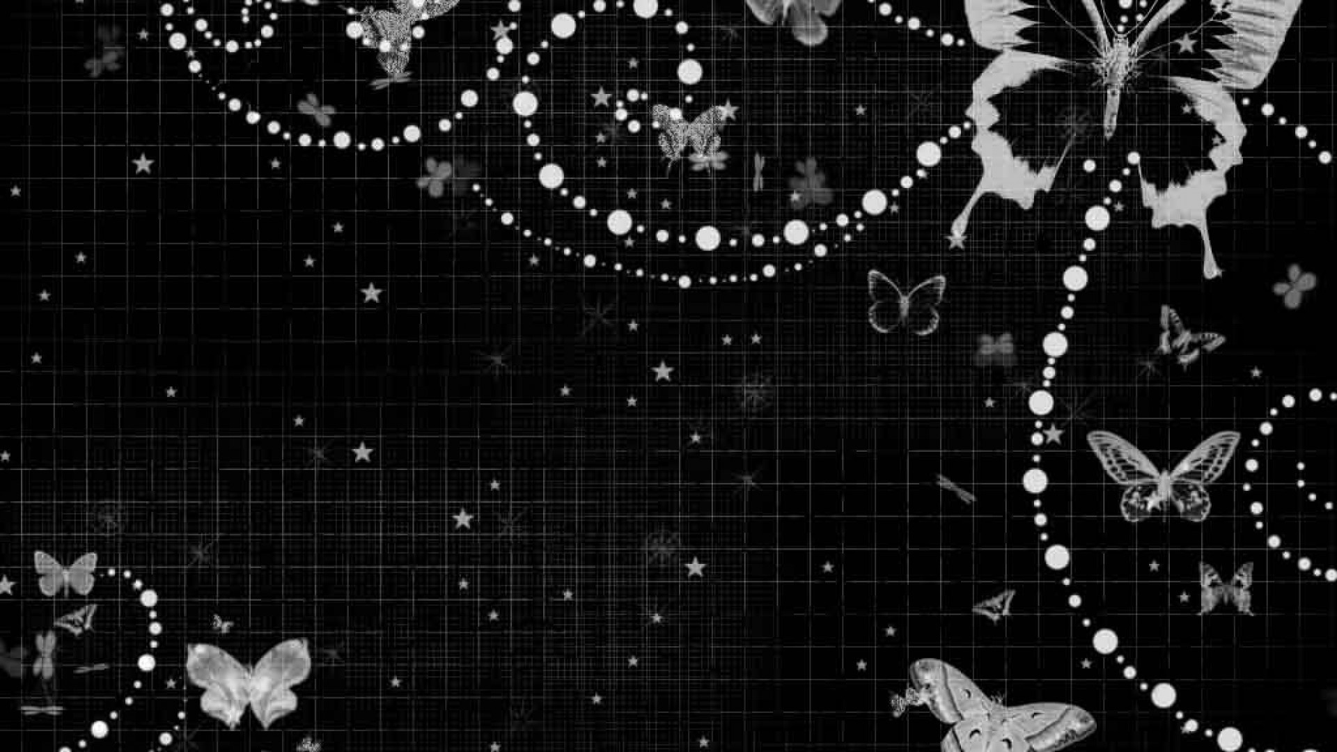 1920x1080 Butterfly Black wallpaper