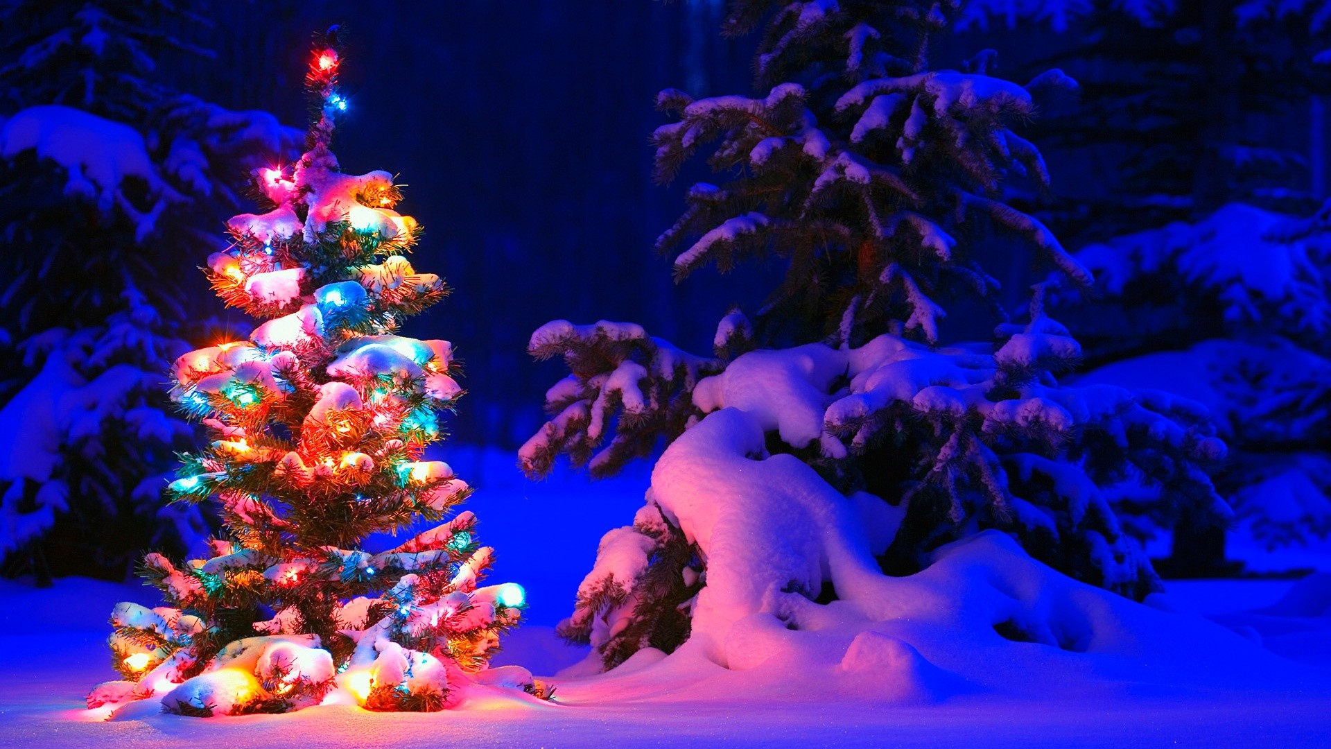 1920x1080 Lighted Christmas Tree in Winter Forest