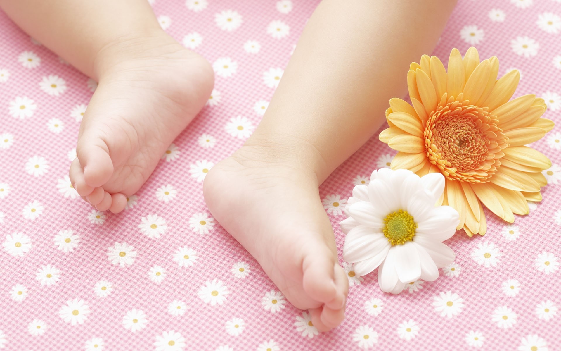 1920x1200  Wallpaper child, feet, flowers, baby
