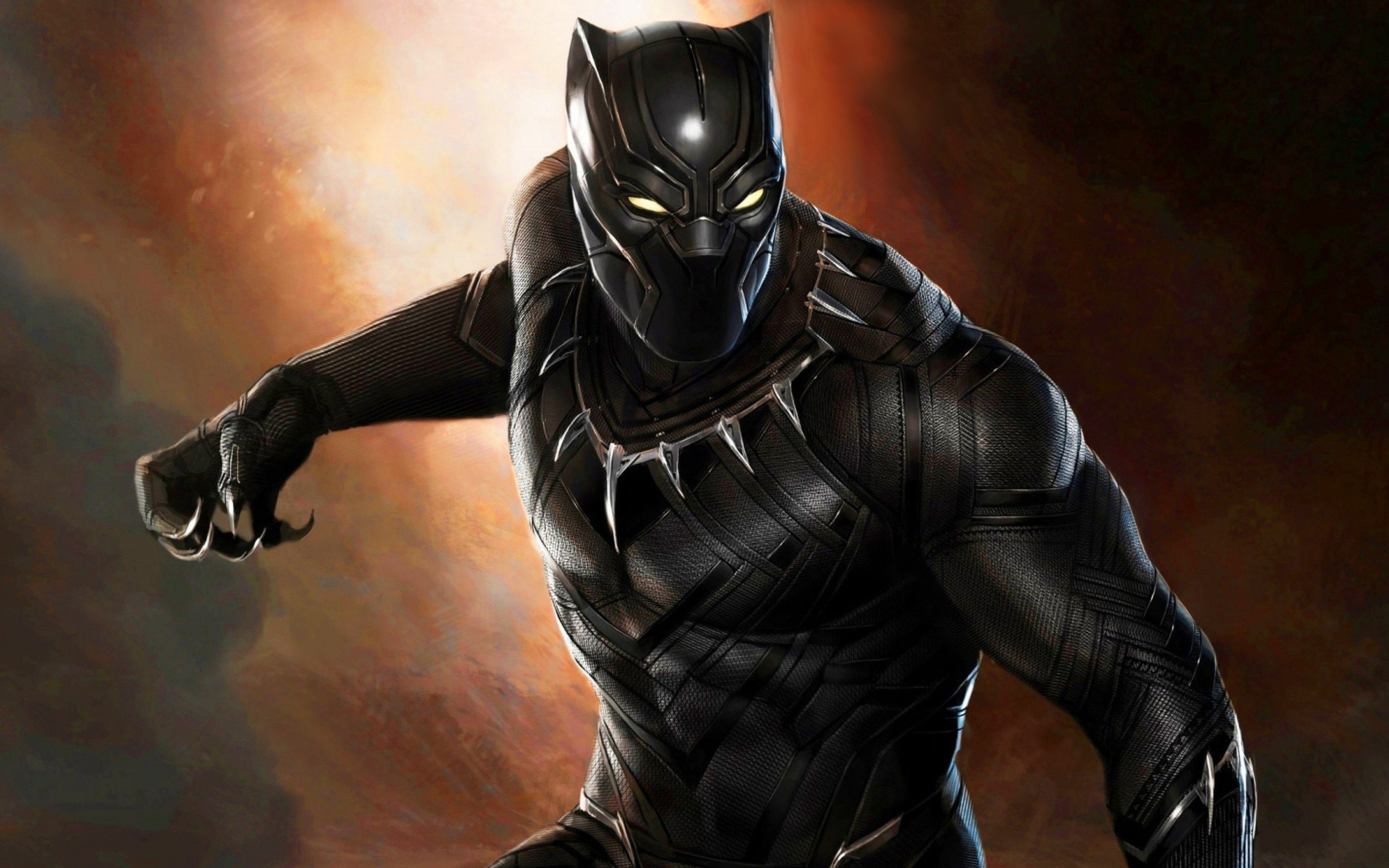 2560x1600 Black Panther Super Hero