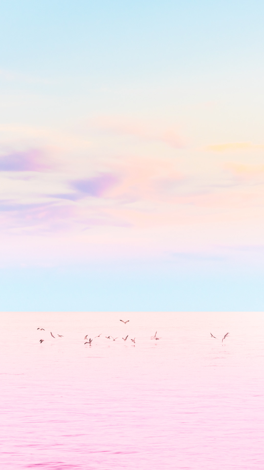 1080x1920 Birds At Sea Pastel Pink IPhone 6 Plus HD Wallpaper