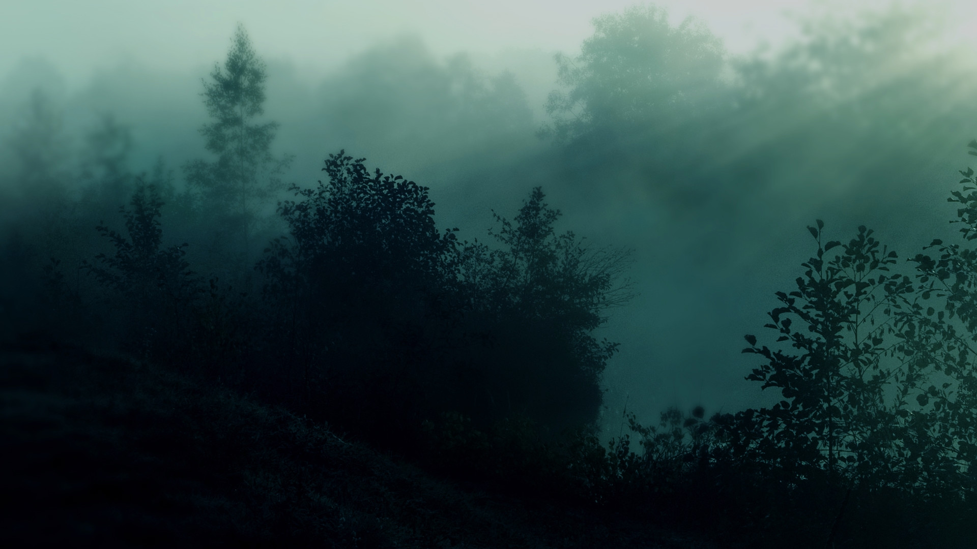 1920x1080 teal wallpapers hd dark forest