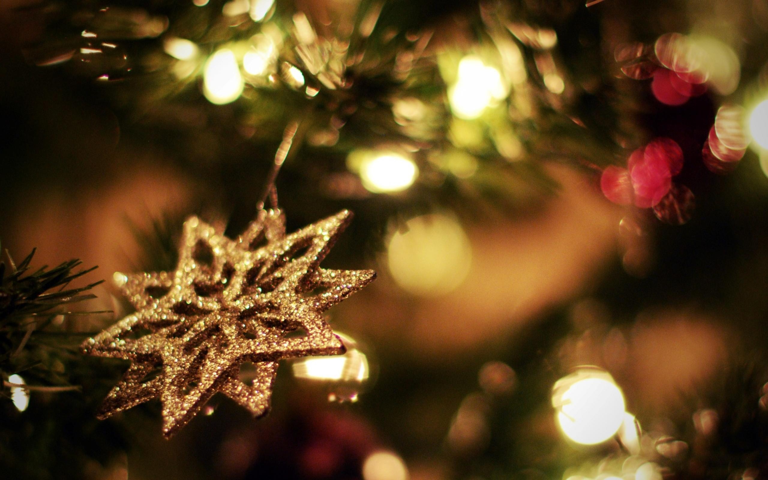 2560x1600 Christmas Trees Winter New Year