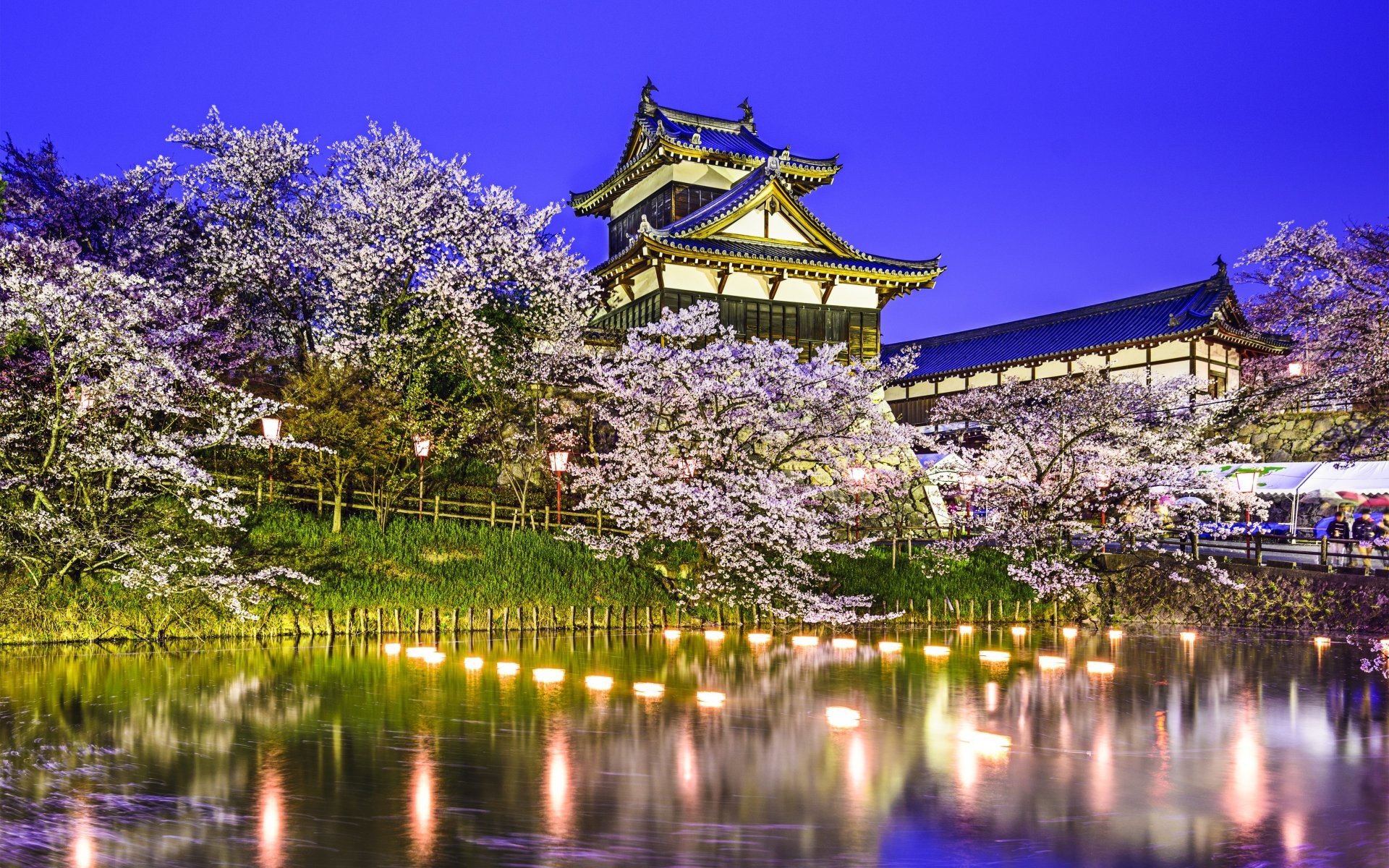 1920x1200 Koriyama Castle Yamatokoriyama Japan pond pond spring park trees cherry  reflection lights wallpaper background