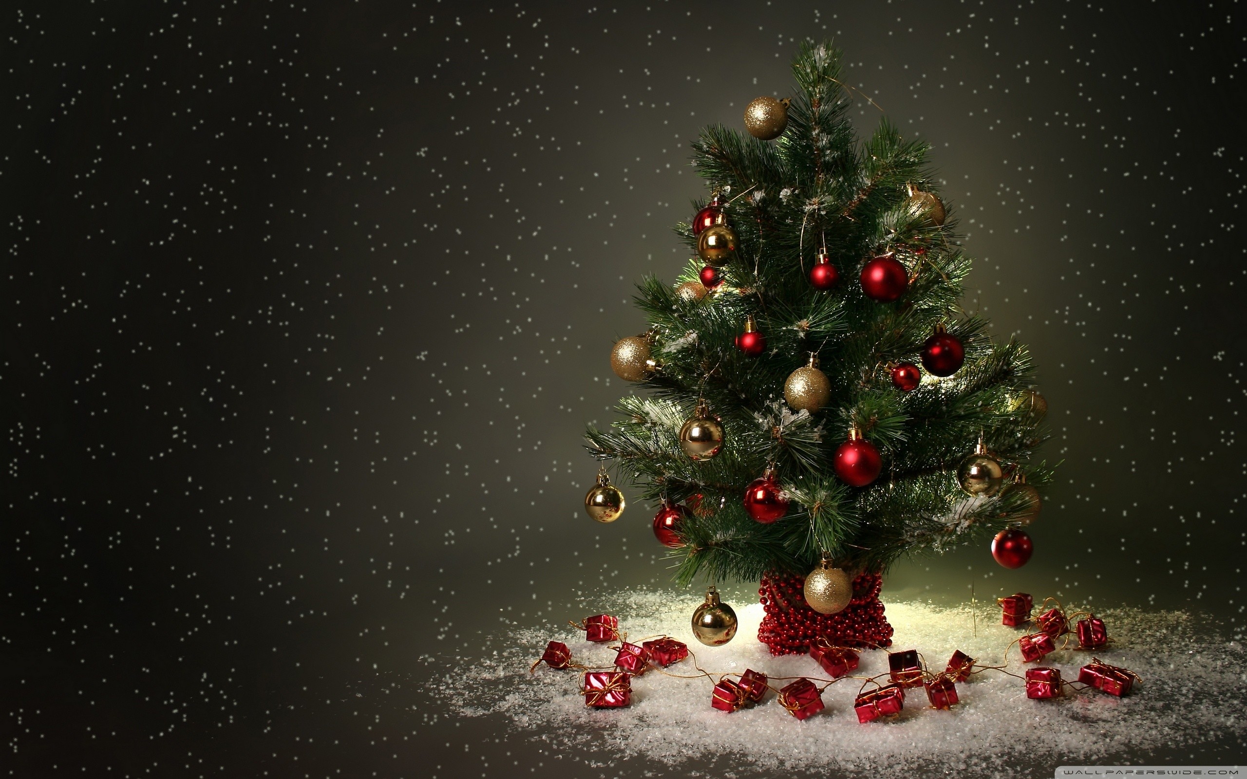 2560x1600 Cute Christmas Tree Backgrounds (10)