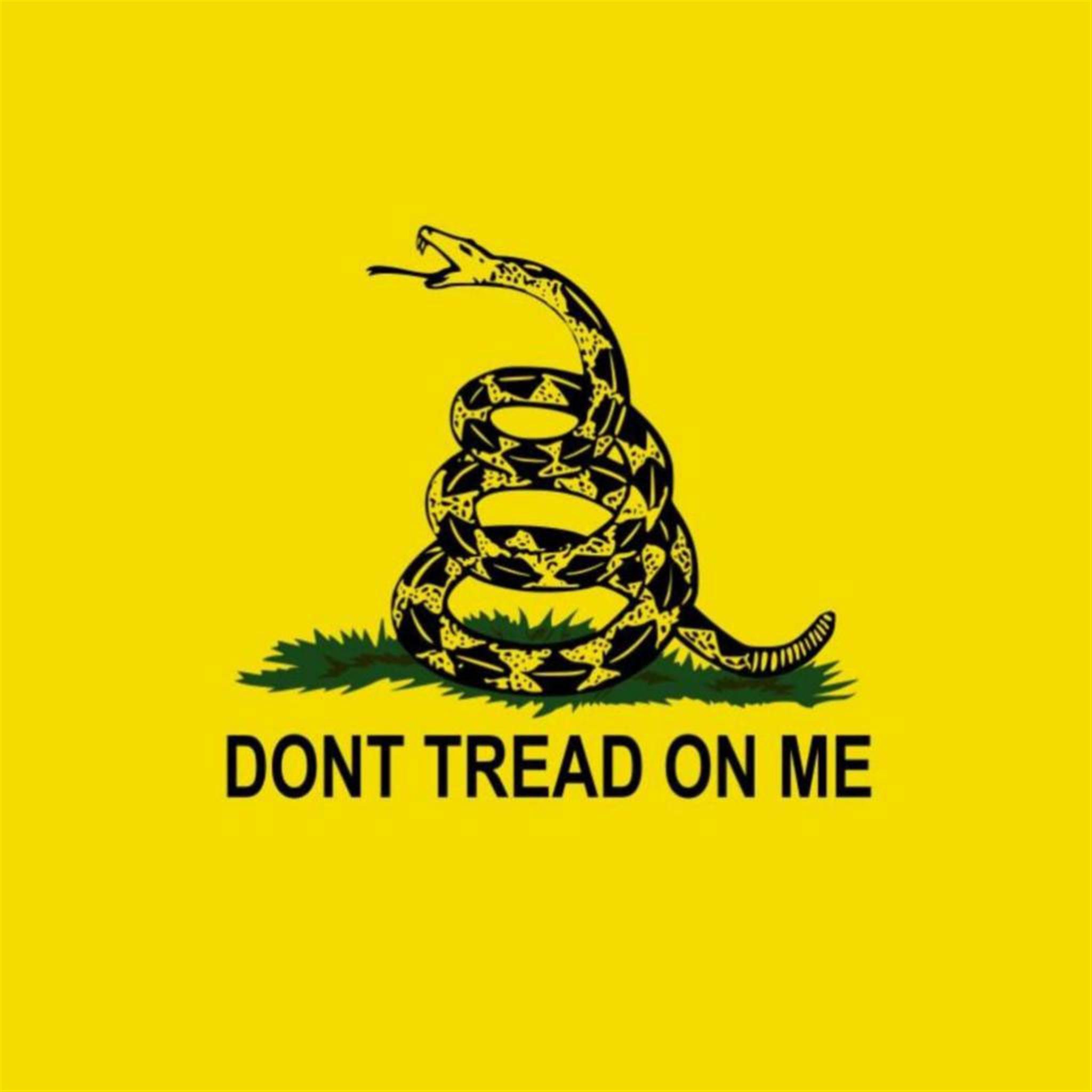 2048x2048 DONT TREAD ON ME iPad Air Wallpapers