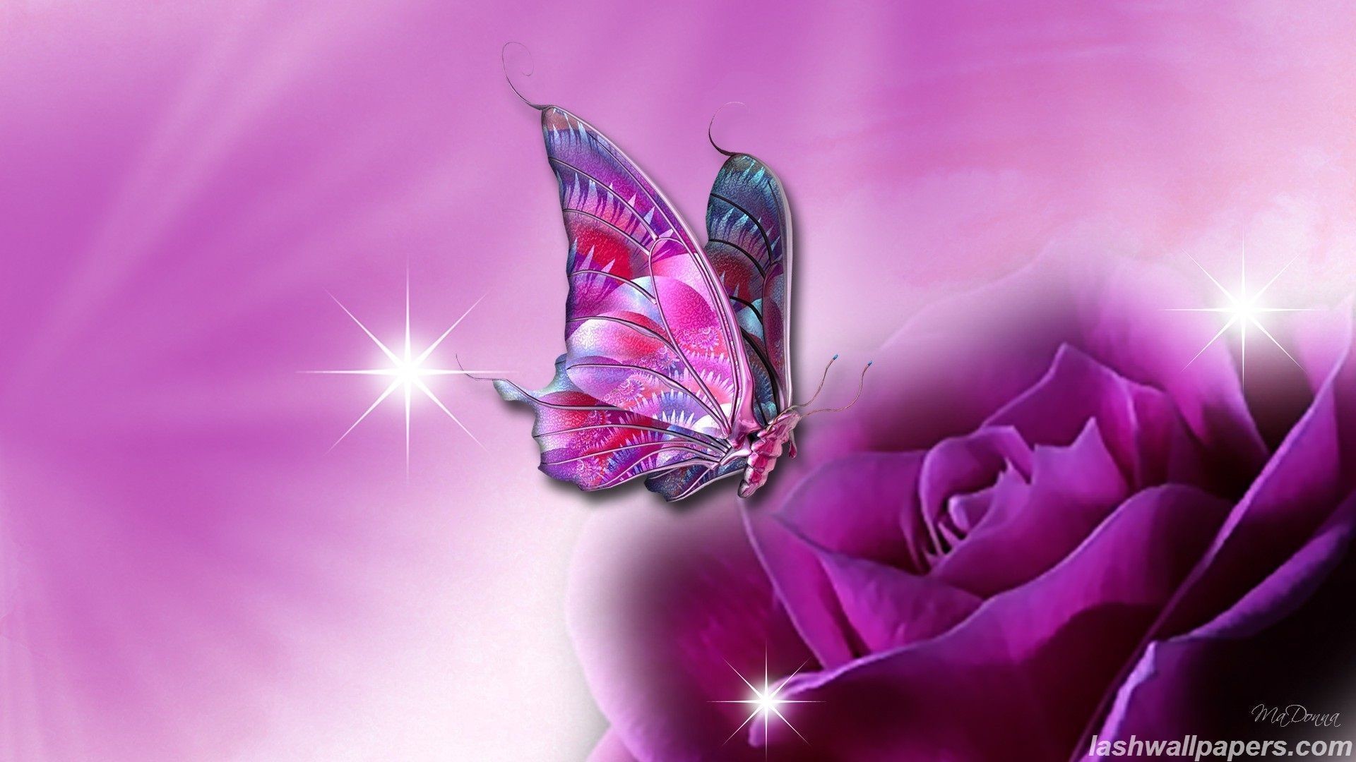 1920x1080 Animated Butterfly Wallpaper Free Download Wallpaper Bits