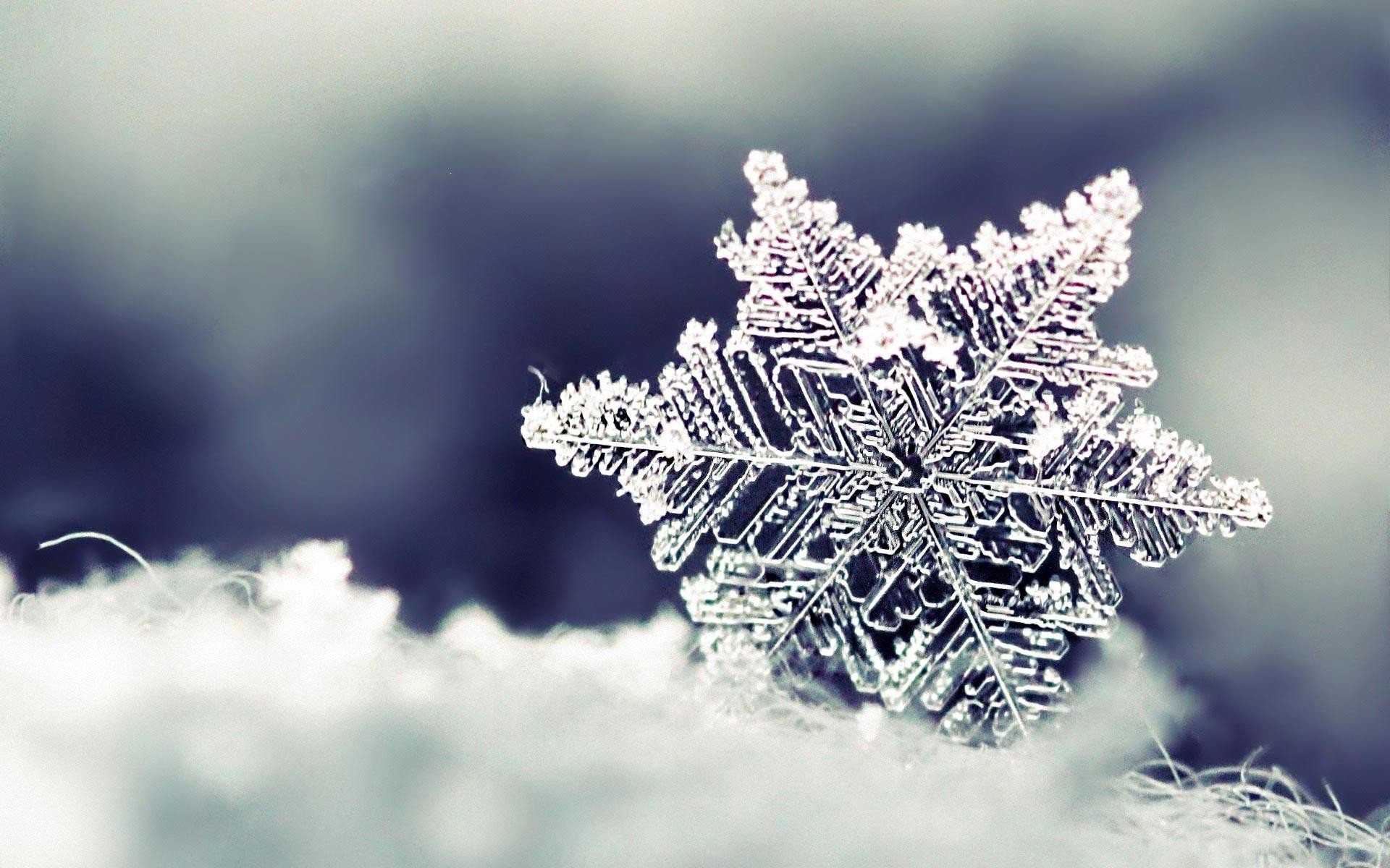 1920x1200 Cover Your Desktop in Snow with These Wallpapers