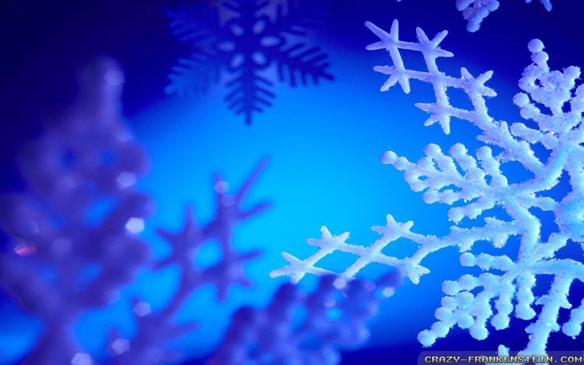 1920x1200 Wallpaper: Blue Winter Snowflake Resolution: 1024x768 | 1280x1024 |  1600x1200. Widescreen Res: 1440x900 | 1680x1050 | 