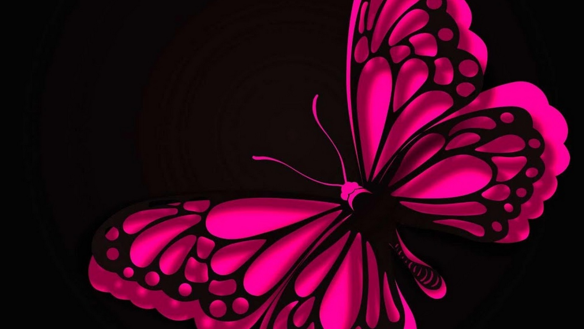 1920x1080 HD Wallpaper Pink Butterfly 