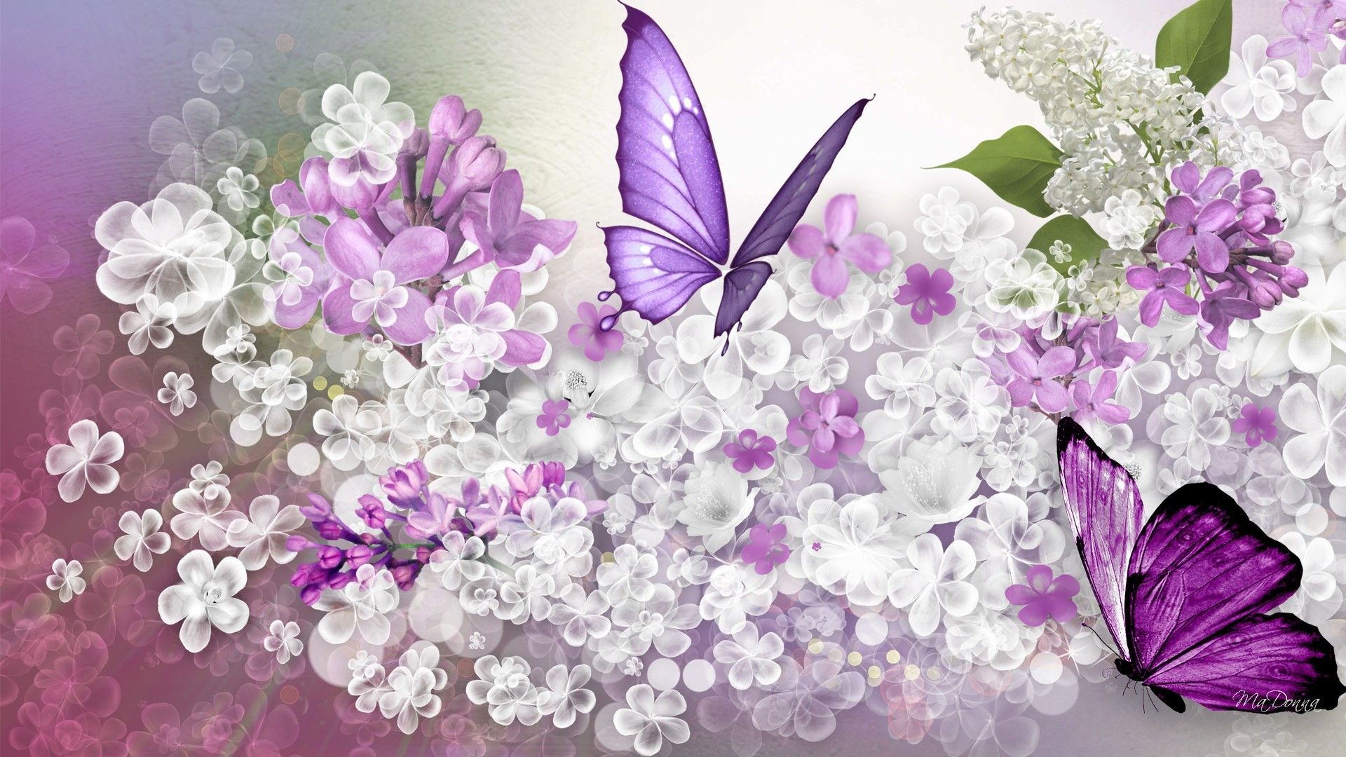 1920x1080 High Definition Collection: Lilac Wallpapers, 37 Full HD Lilac .