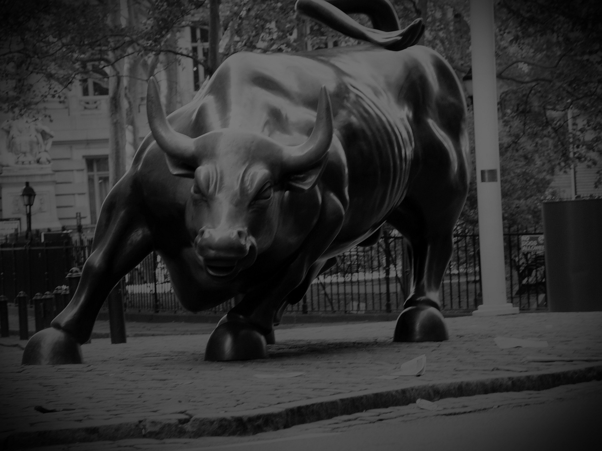 Wall Street Bull Wallpaper (61+ images)