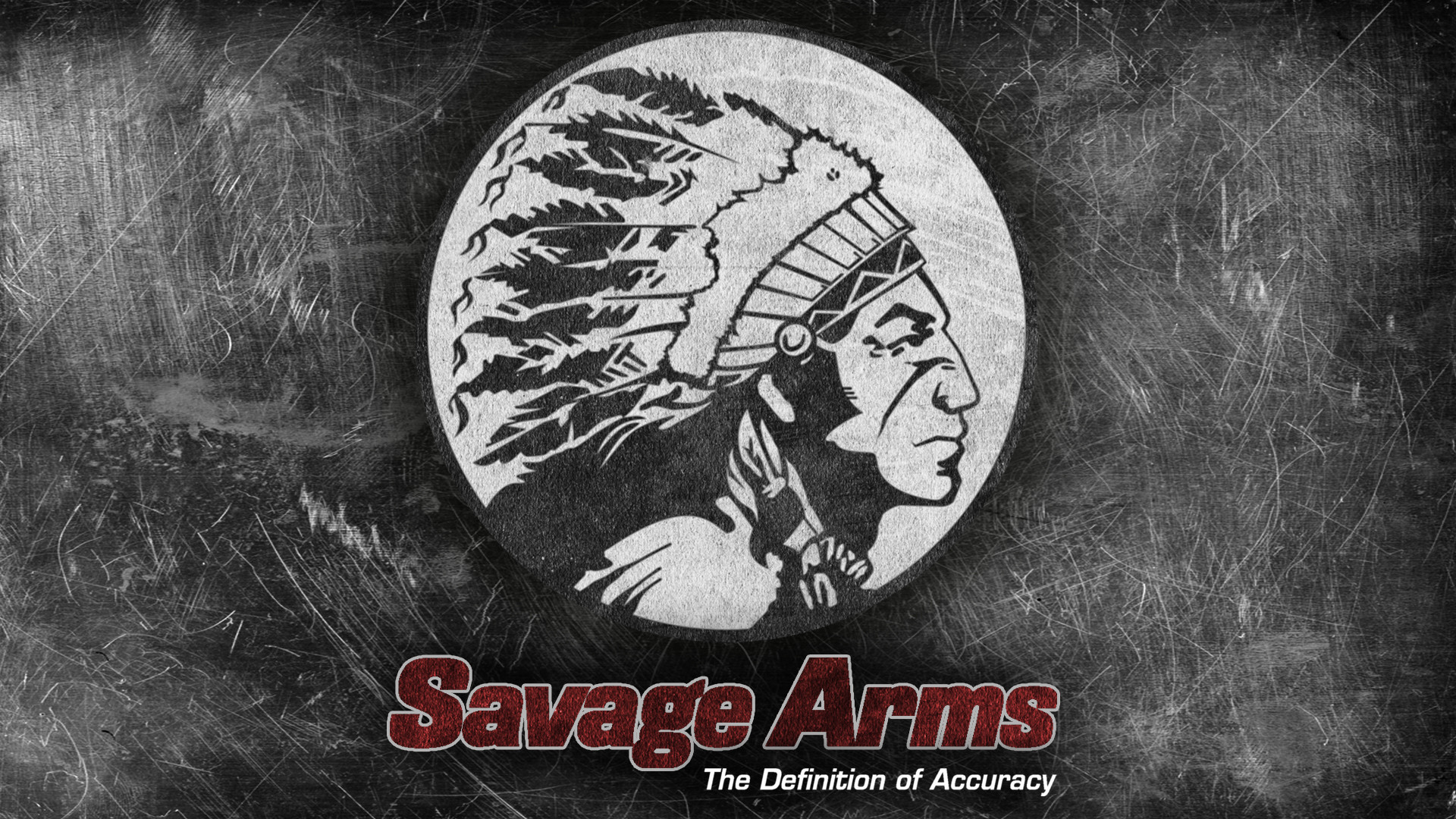 1920x1080 Savage Rifle #2
