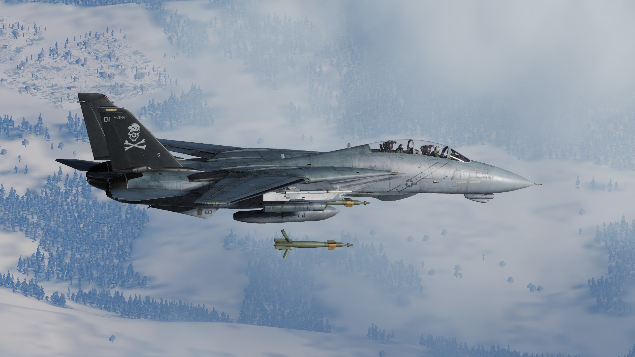 2560x1440 My personal favourite is this one... low vis scheme, Bombcat... <initiate  drooling>