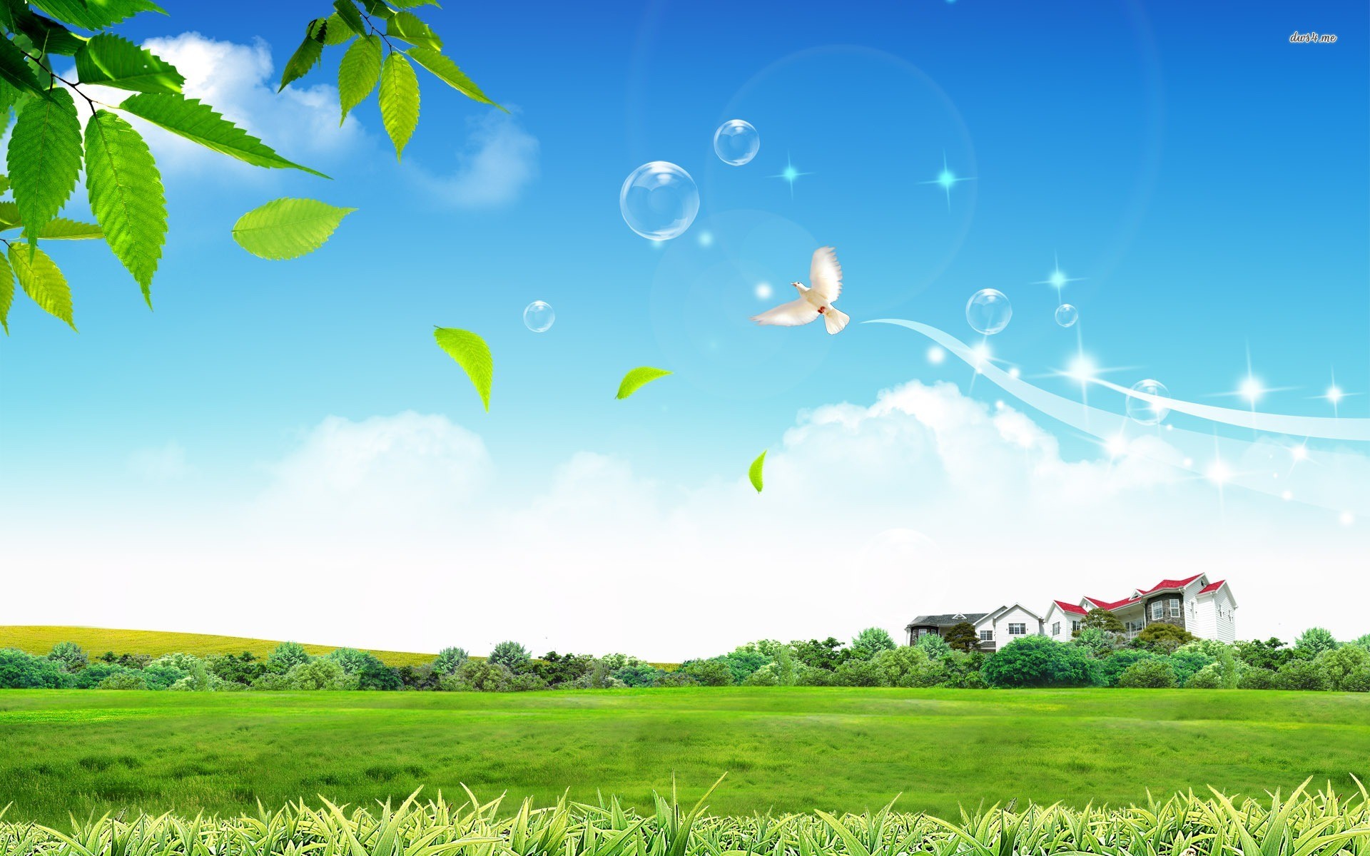 1920x1200 ... White Dove wallpaper  ...