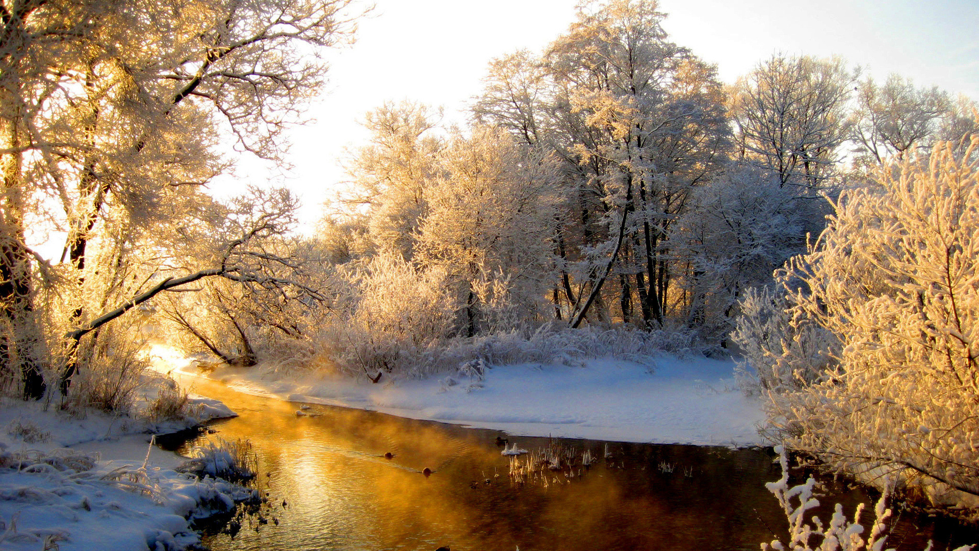 1920x1080 Bilder von Natur Winter Jahreszeiten 