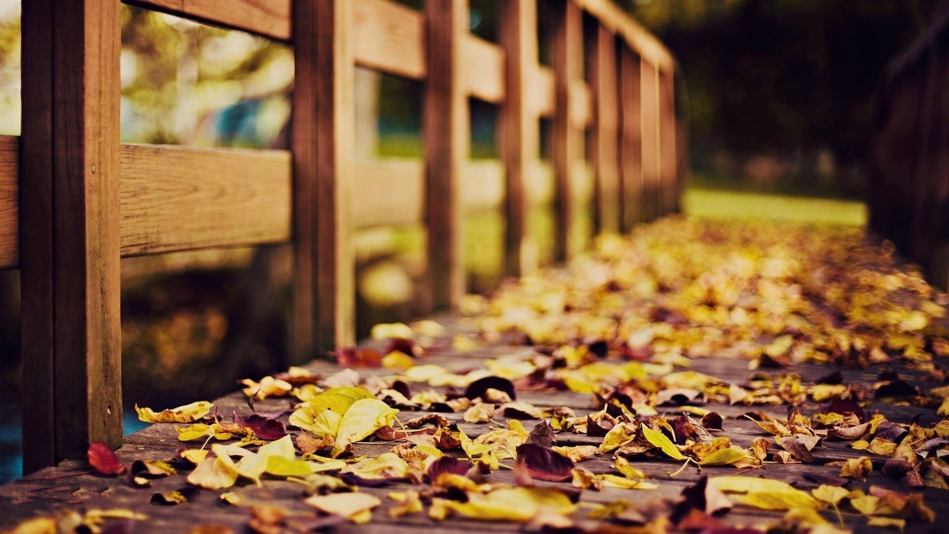 1920x1080 HD Wallpaper | Background ID:467723.  Photography Fall