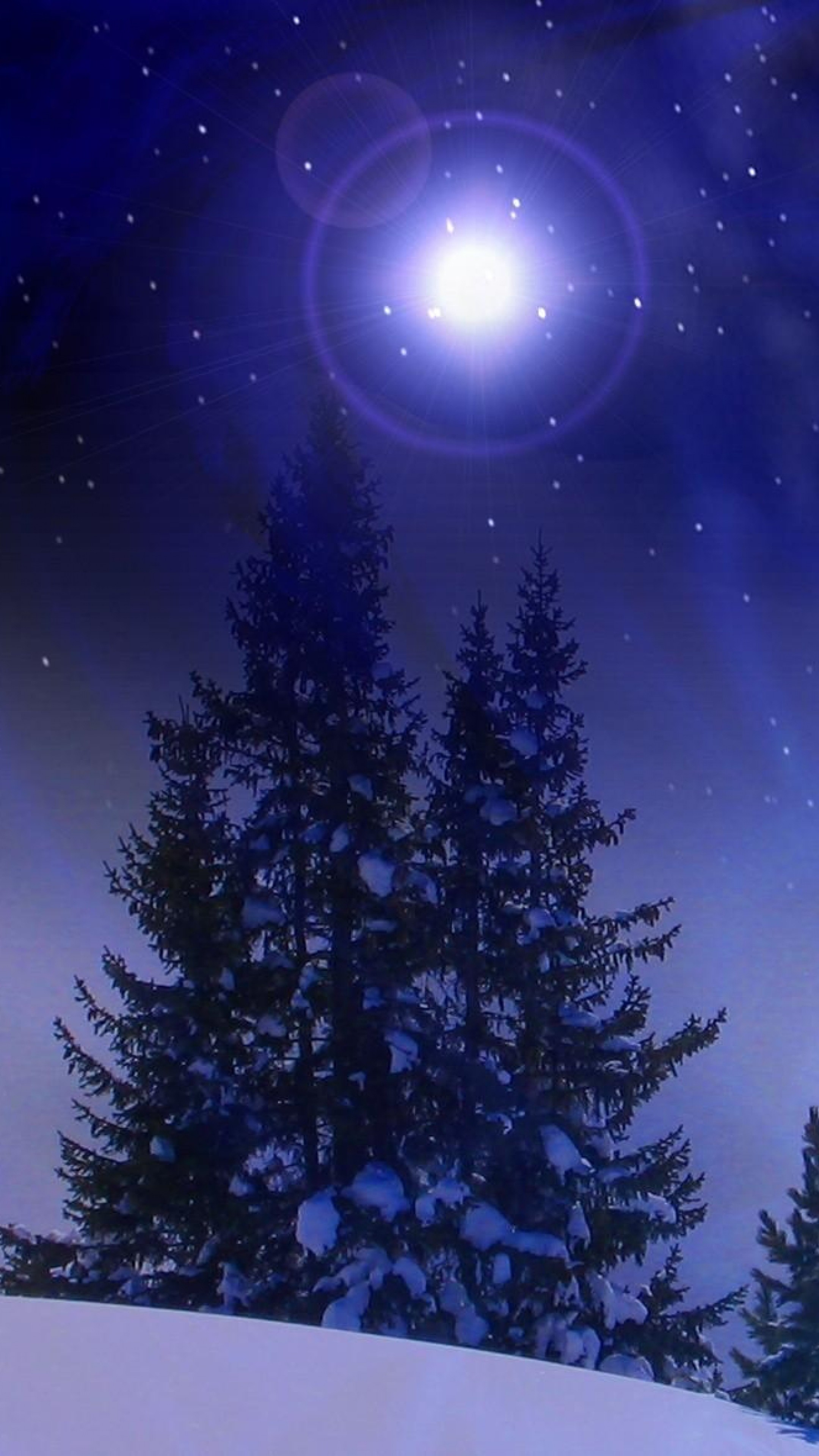2160x3840  Wallpaper christmas trees, snow, winter, midnight, blizzard