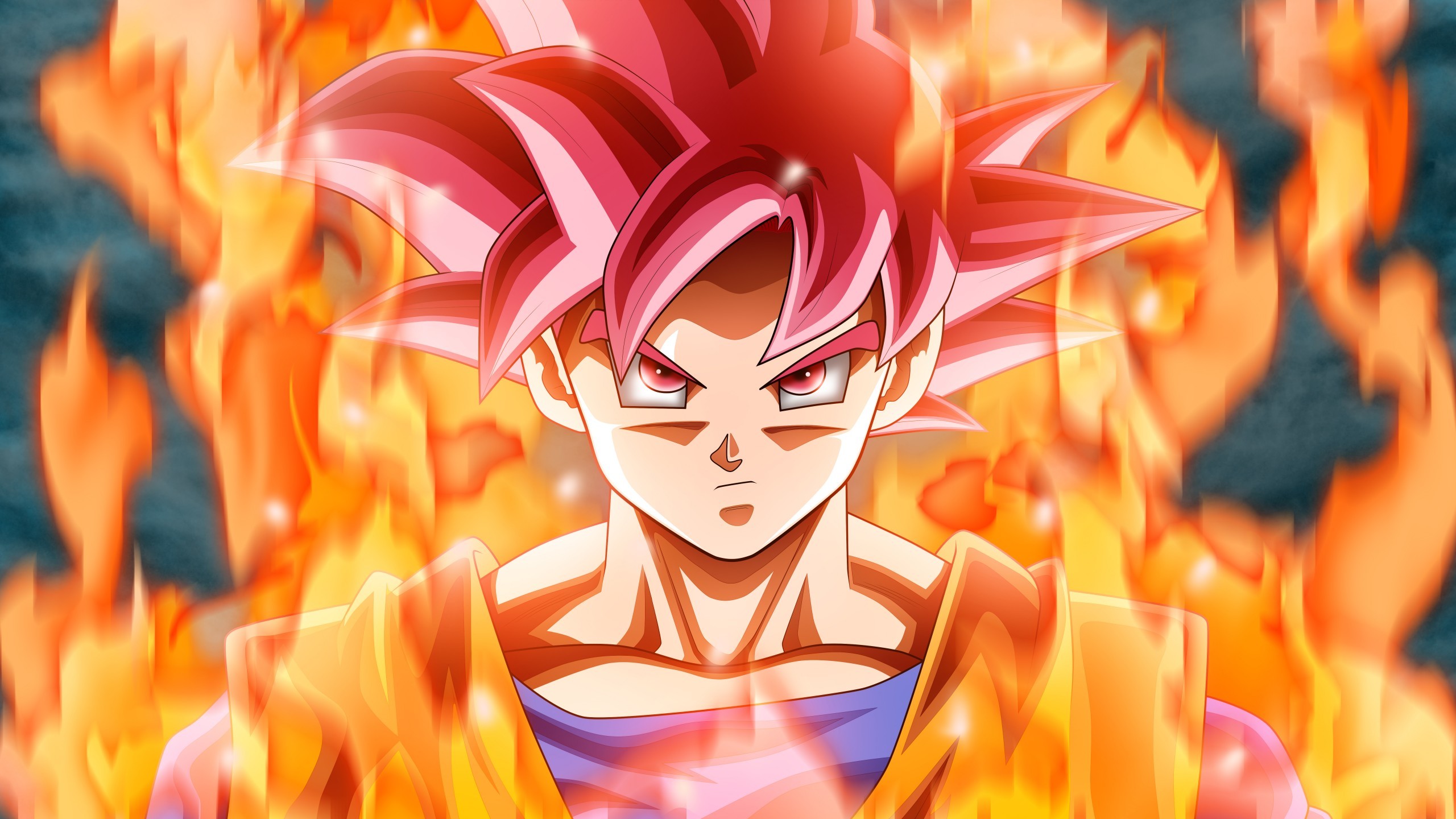 2560x1440 Anime / Goku Wallpaper
