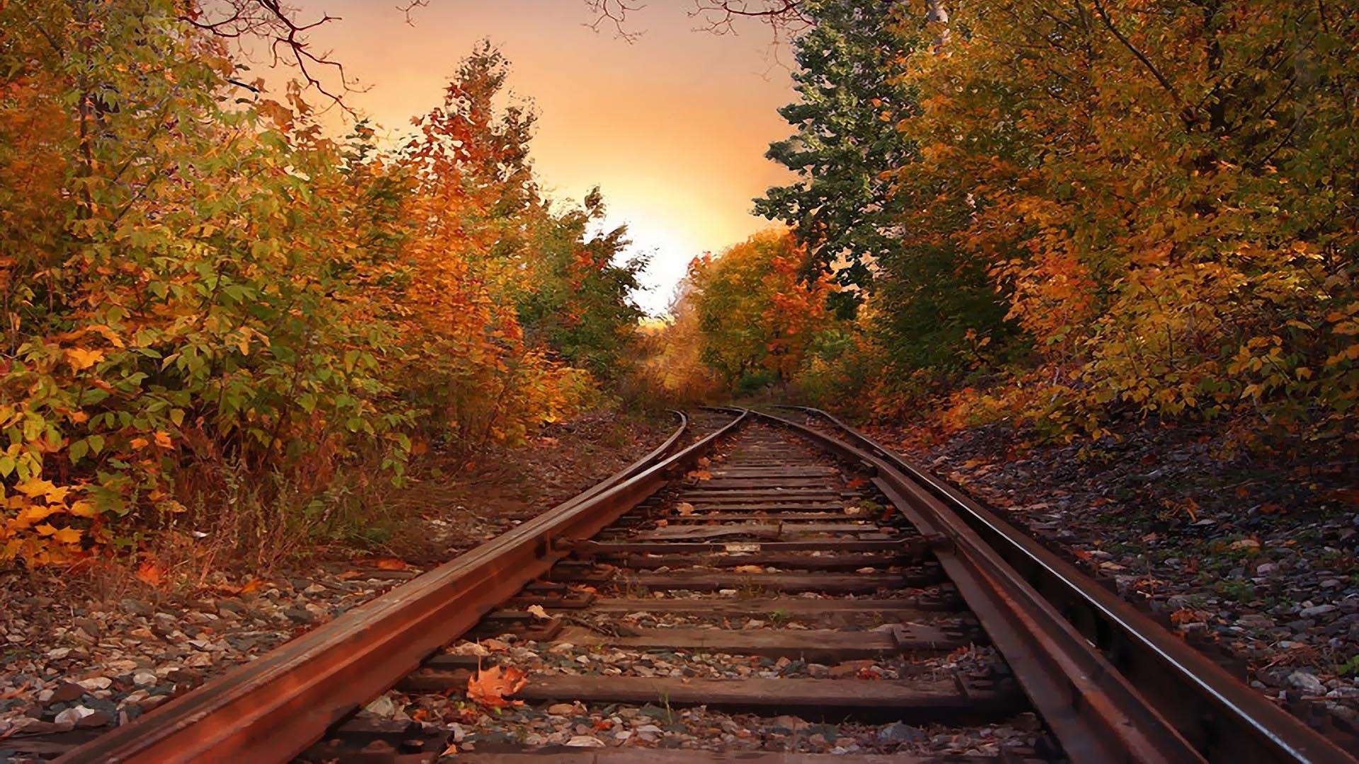 1920x1080 Evening Autumn Rail Hd Wallpaper Hq Backgrounds Wallpapers Autumn .