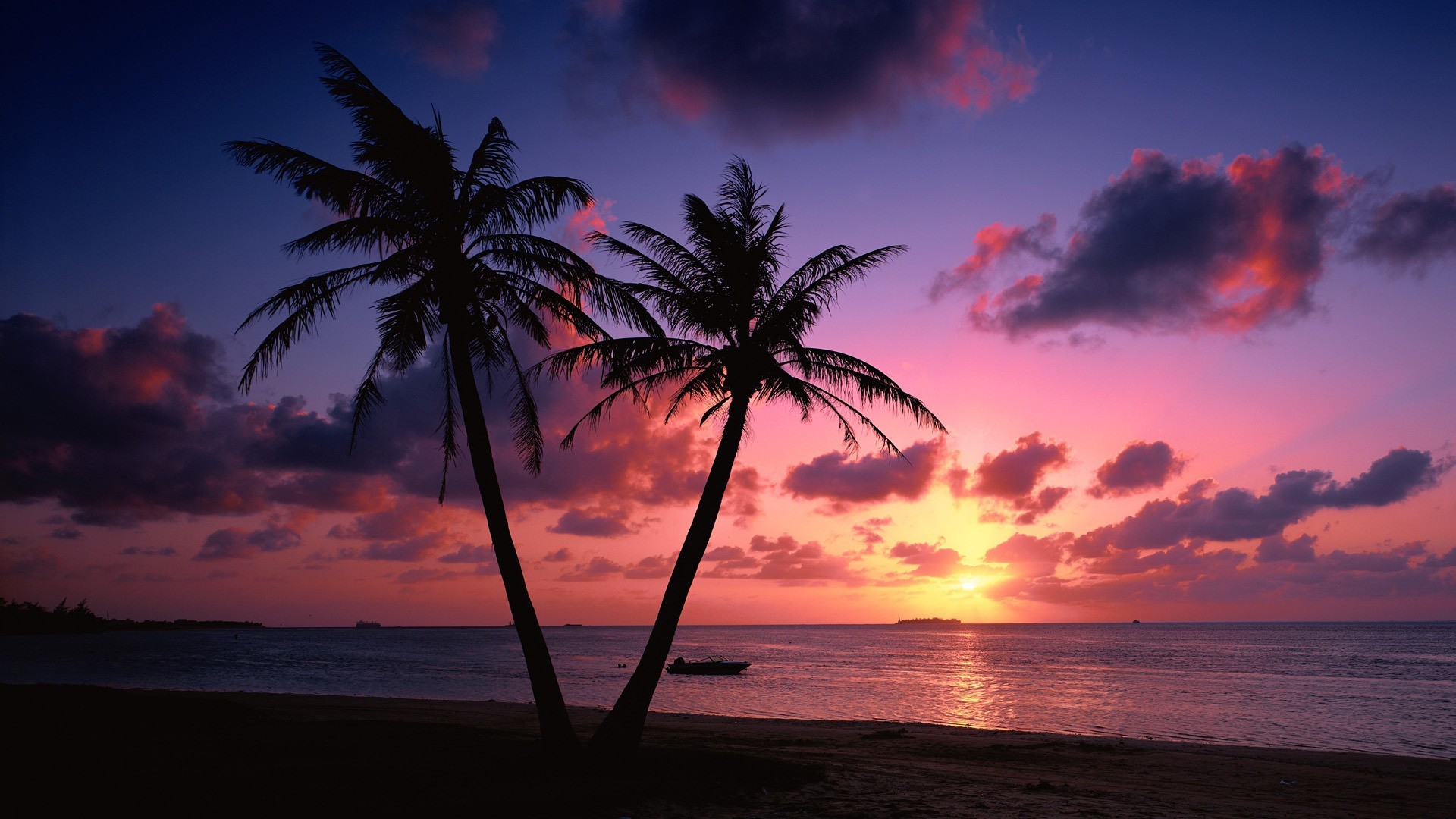 1920x1080 Beach Sunset With Palm Trees