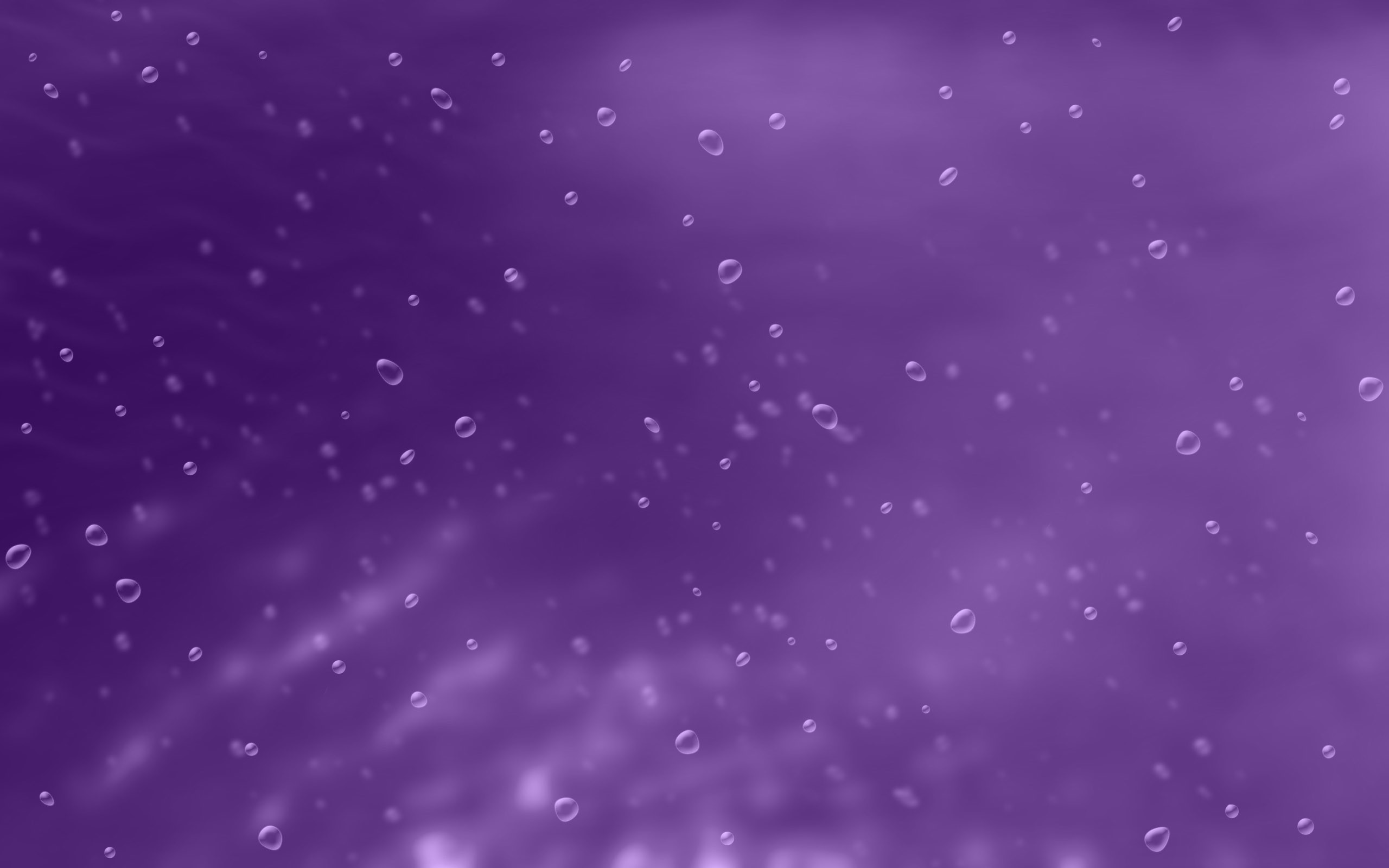 2560x1600 Violet Wallpaper
