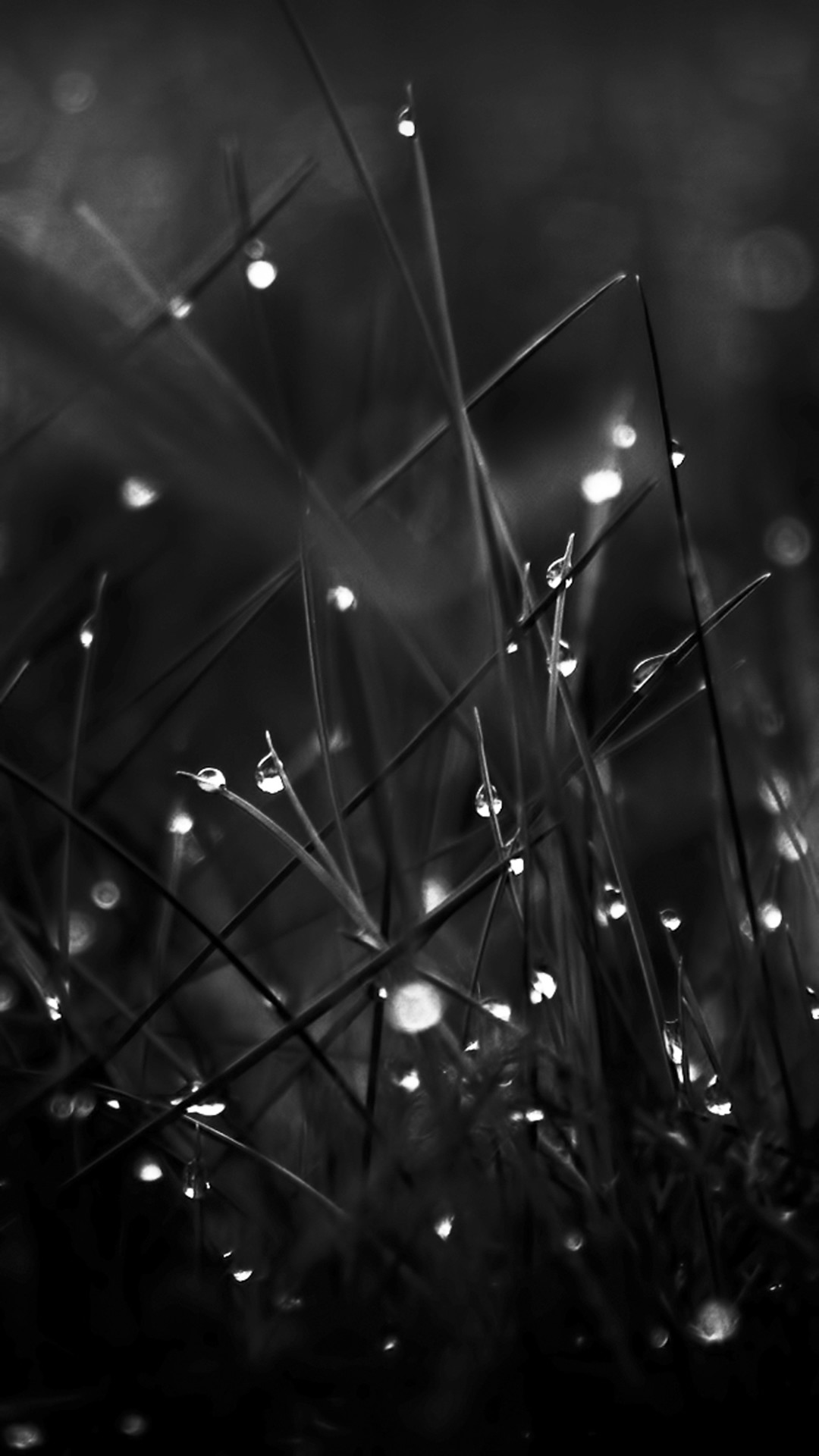 1080x1920 Dark Dew Morning Leafy Grass Landscape iPhone 6 wallpaper
