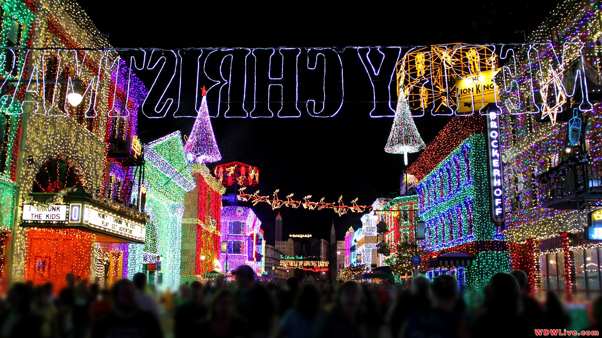 2560x1440 Christmas Lights Disney