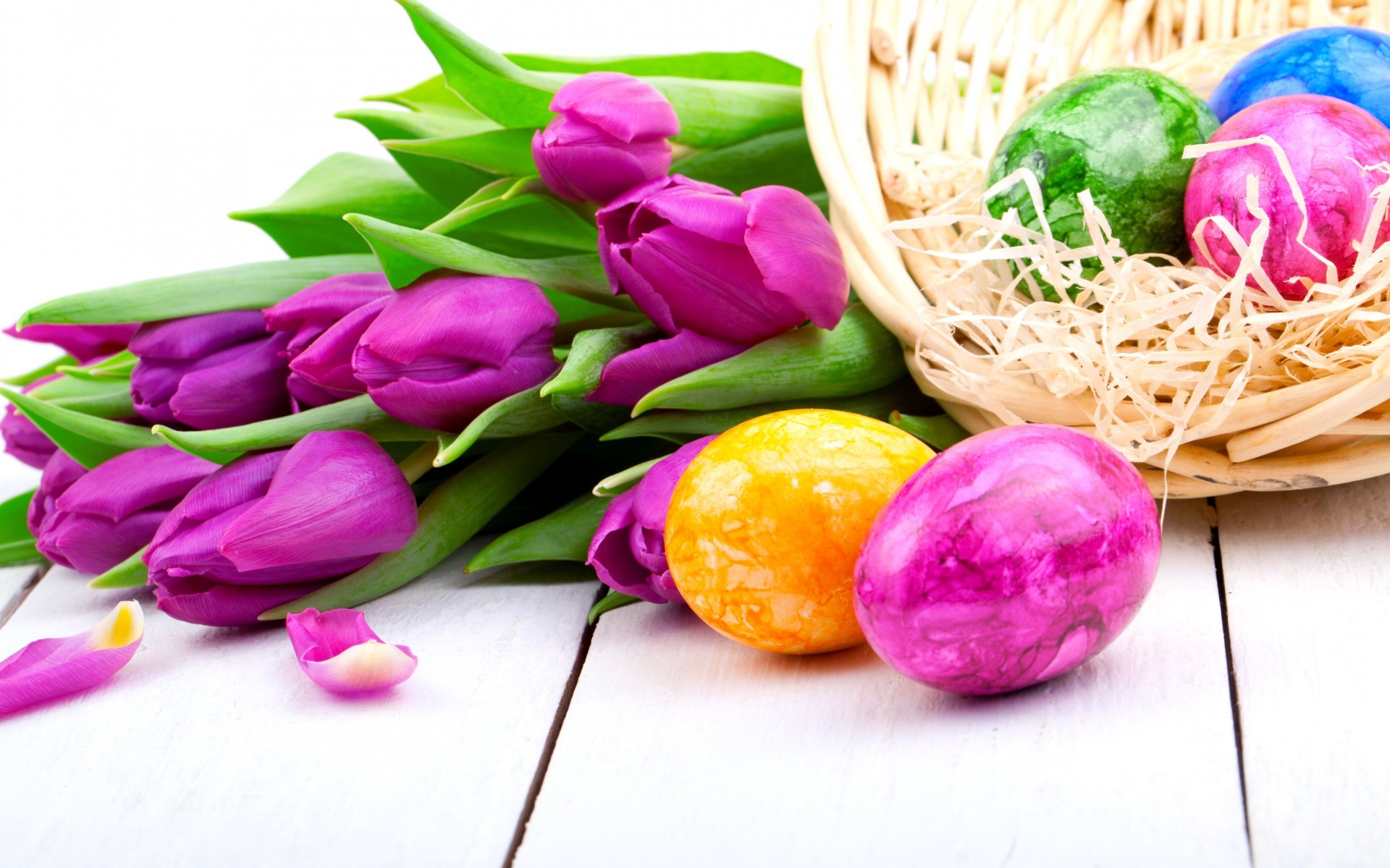 1920x1200 Tulips purple flowers spring holiday Easter eggs wallpaper |  .