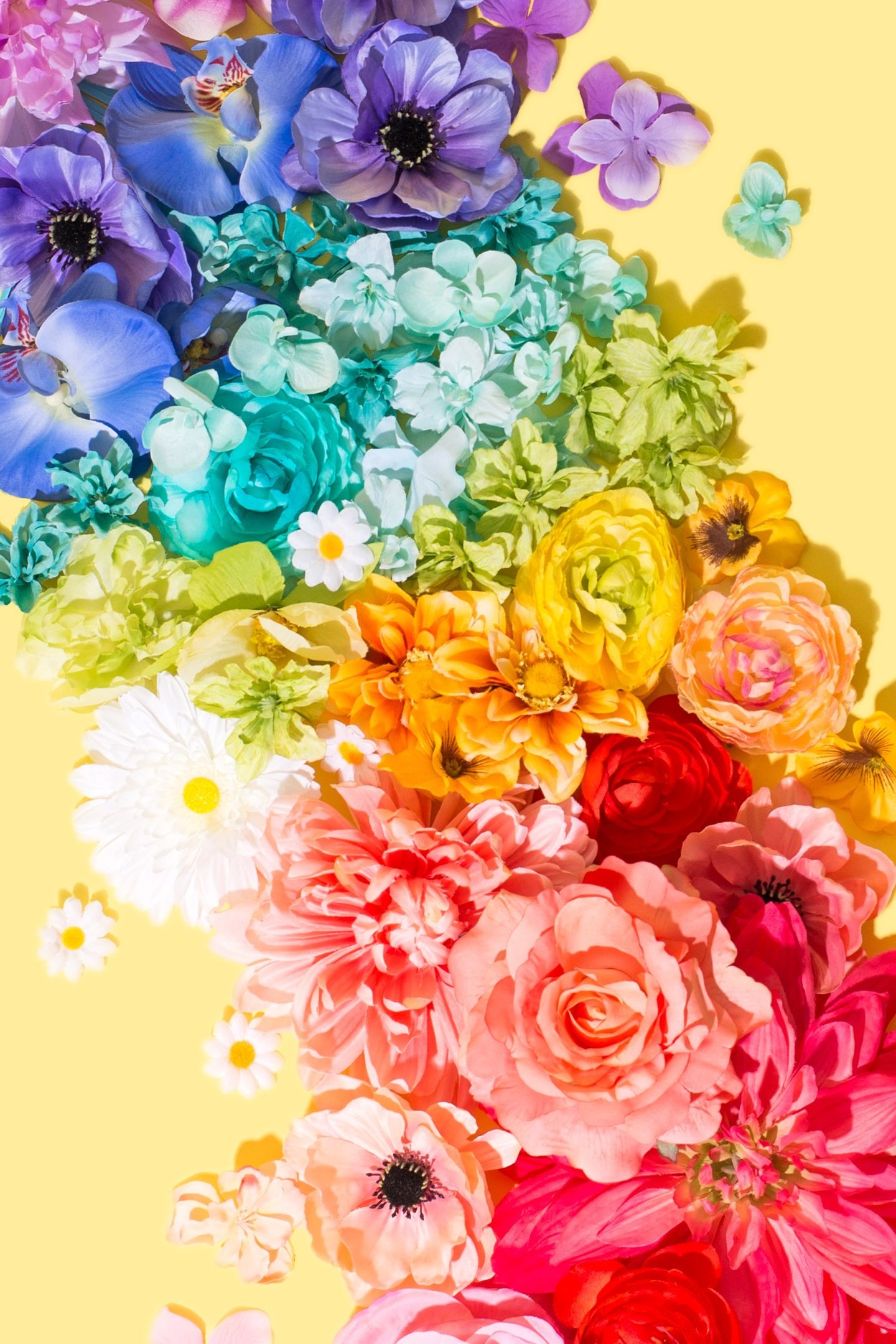 1440x2160 Here Comes Spring / Violet Tinder Studios Rainbow Flowers, Rainbow Colors, Rainbow  Wallpaper,