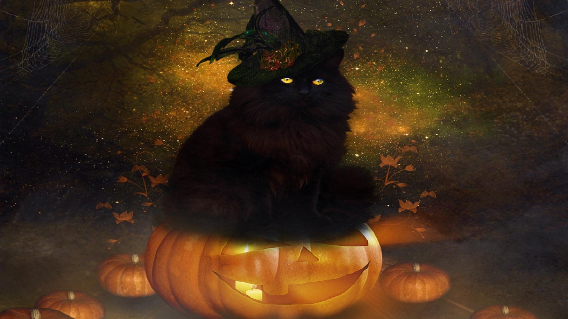 Happy Halloween Cat Wallpapers  Top Free Happy Halloween Cat Backgrounds   WallpaperAccess